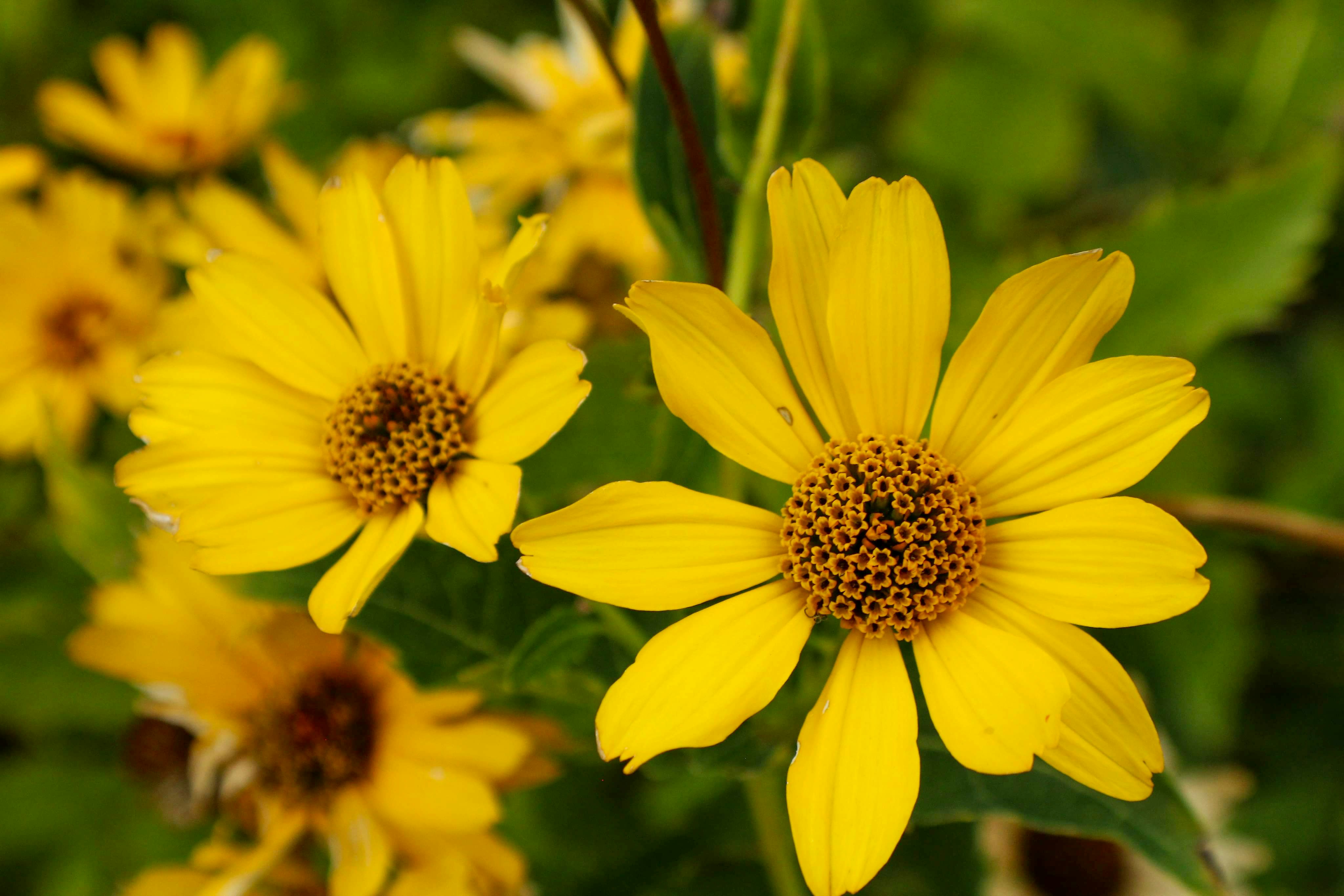 Photo by nwilloughby