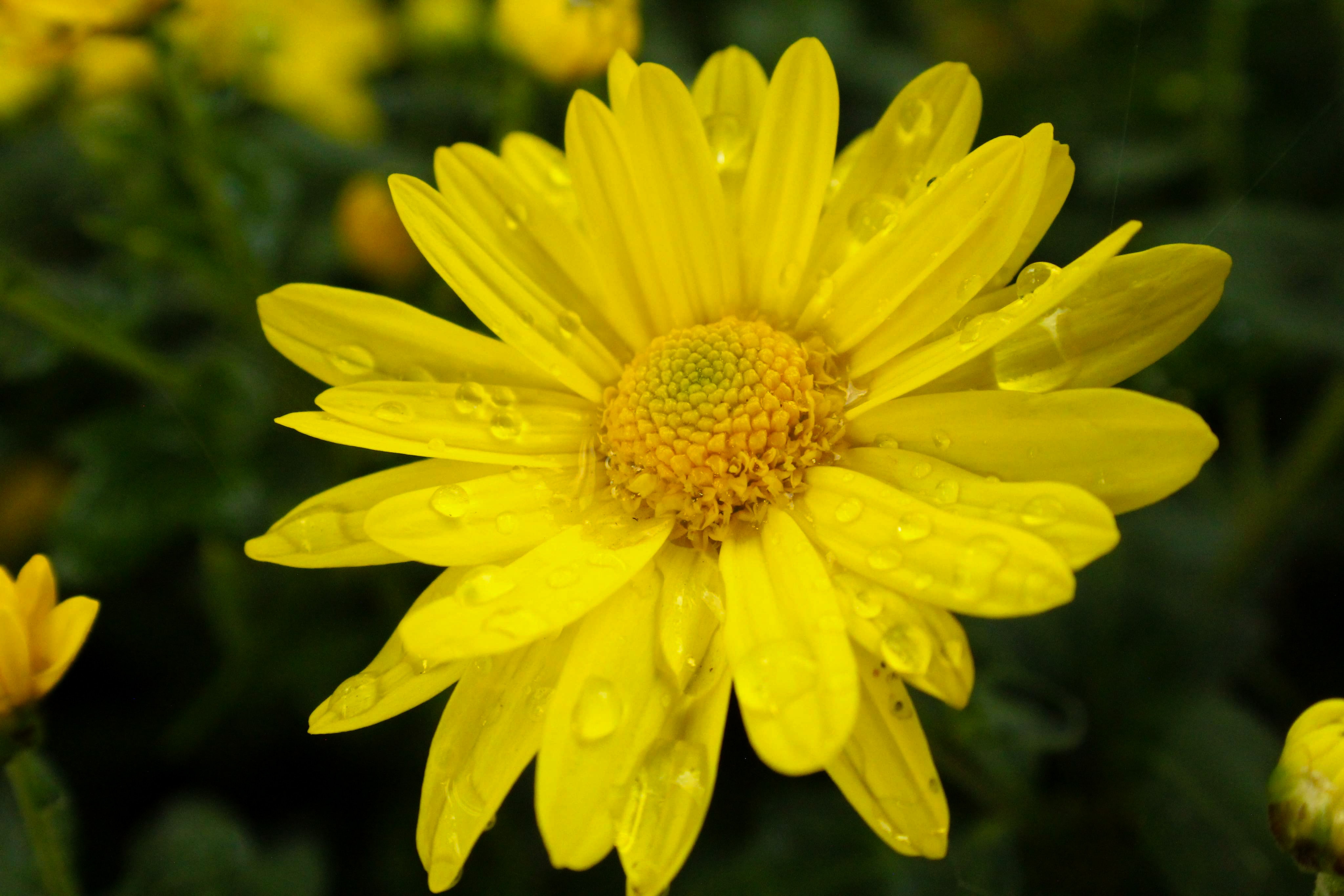 Photo by nwilloughby