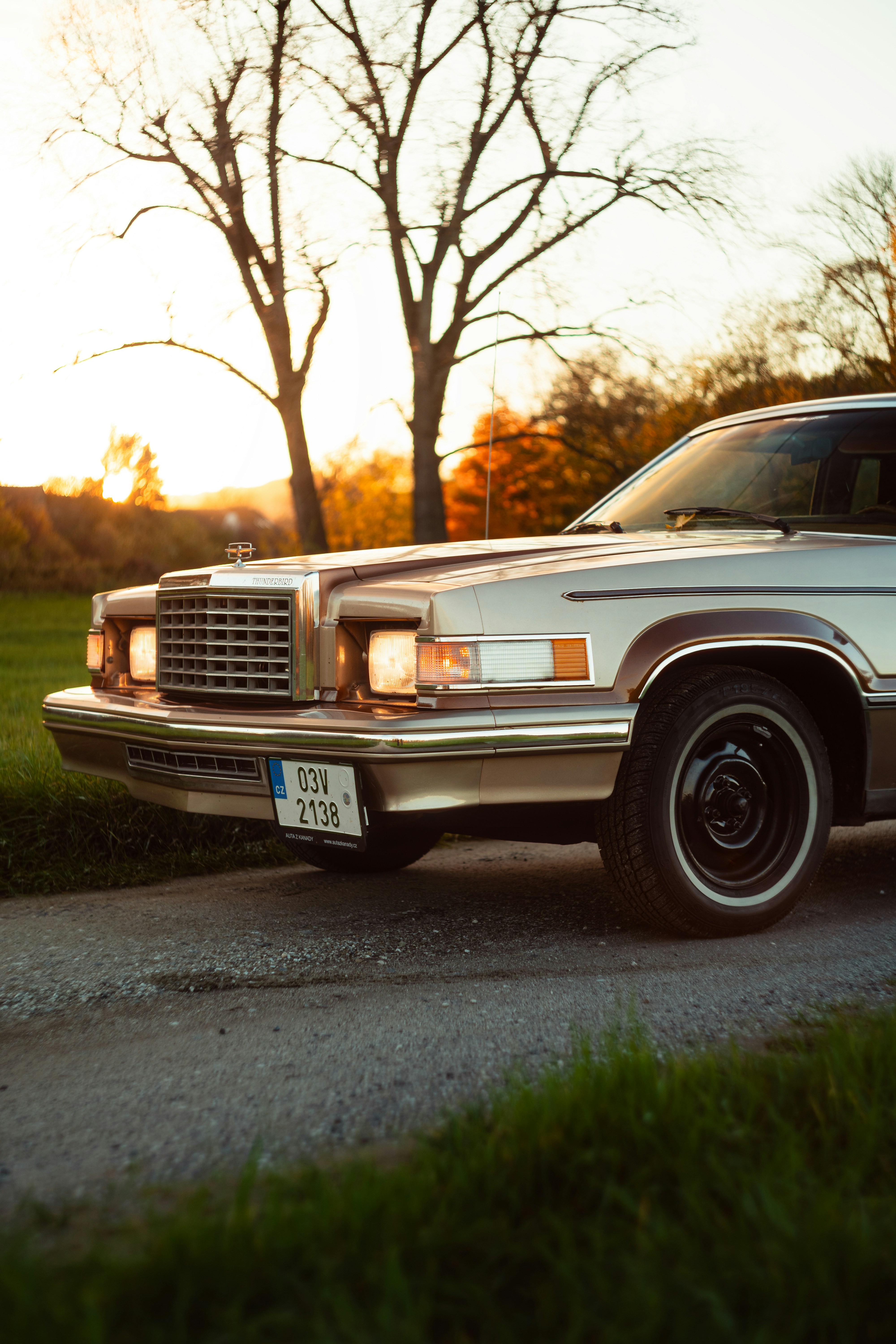 Photo by venajeborec