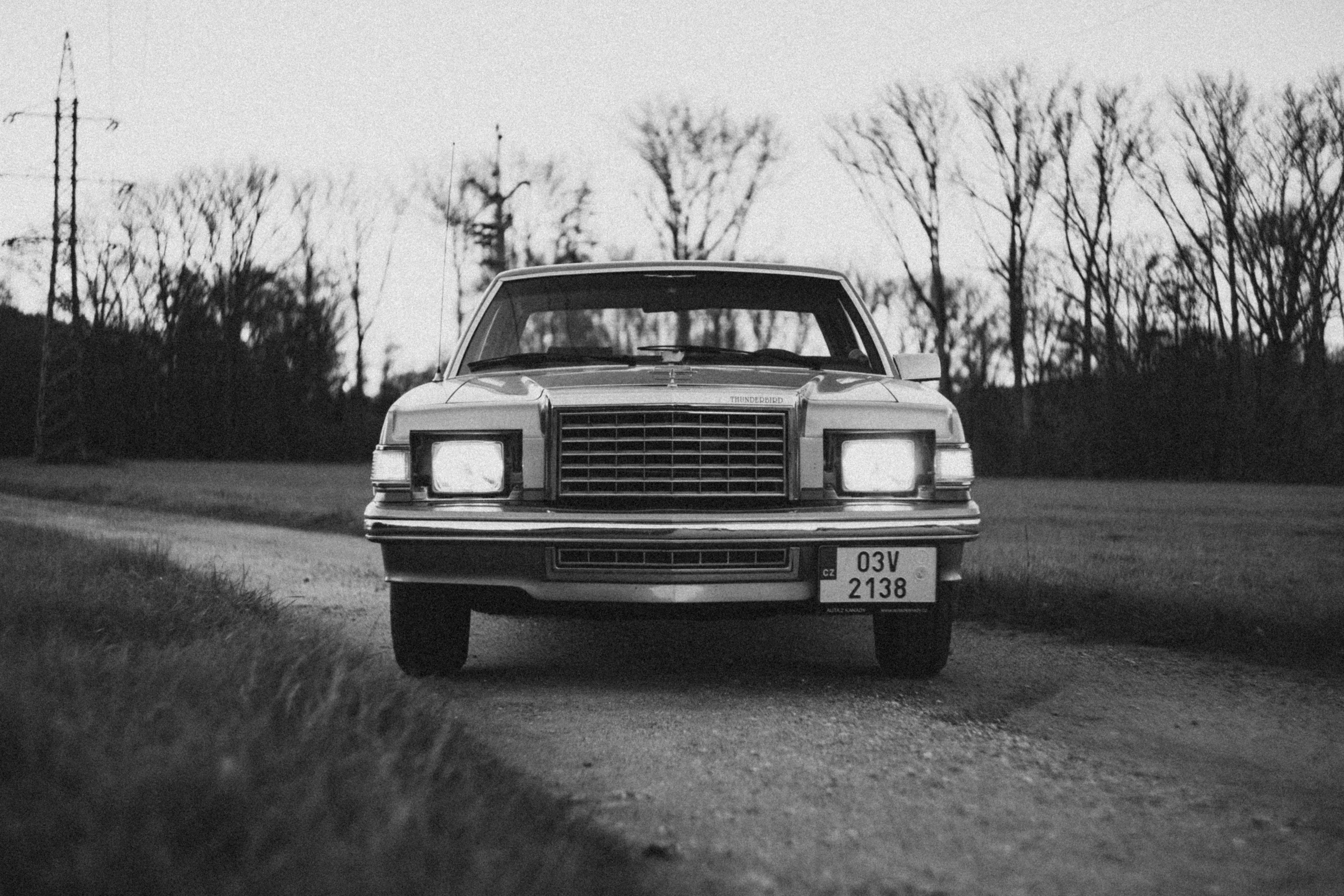 Photo by venajeborec