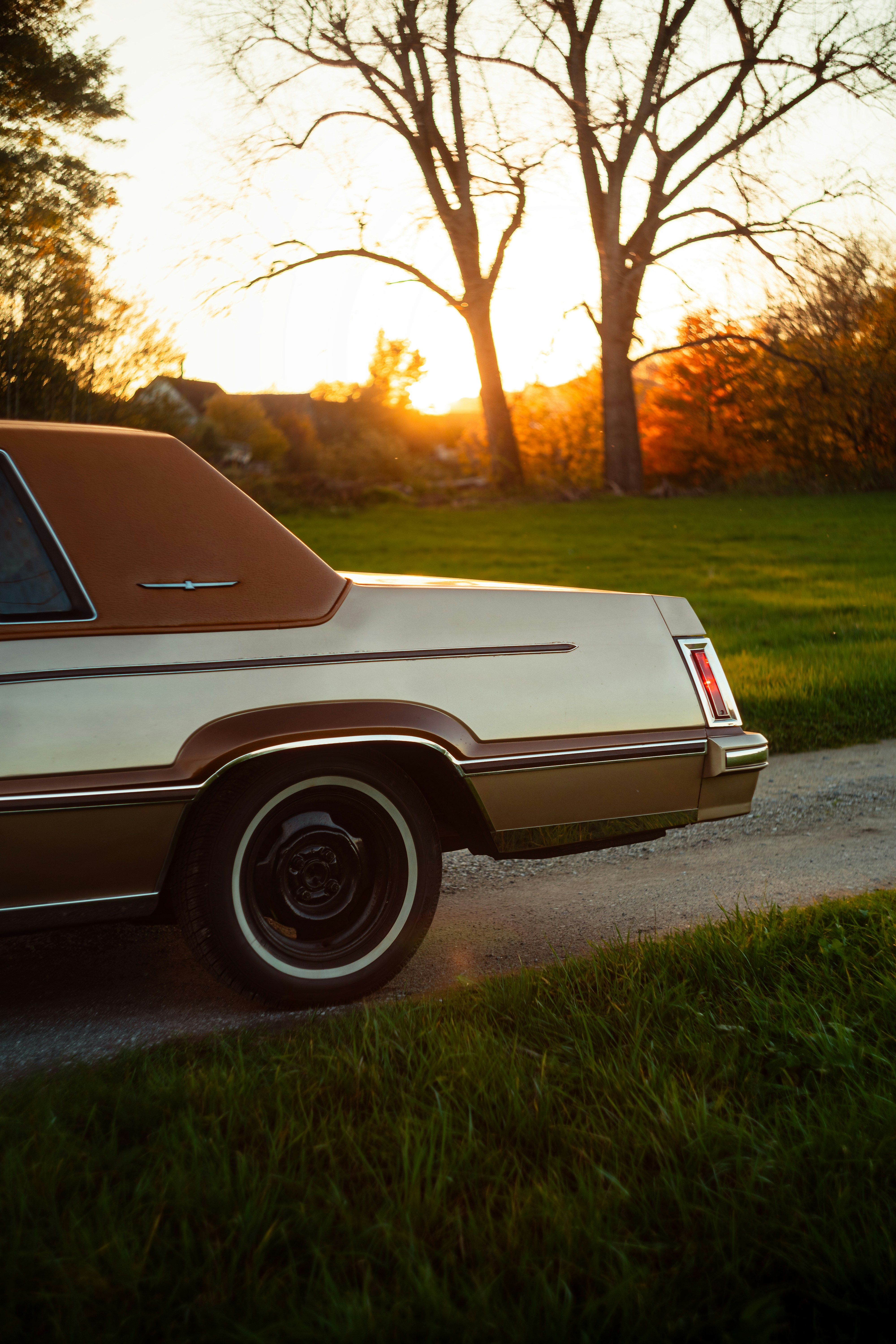 Photo by venajeborec