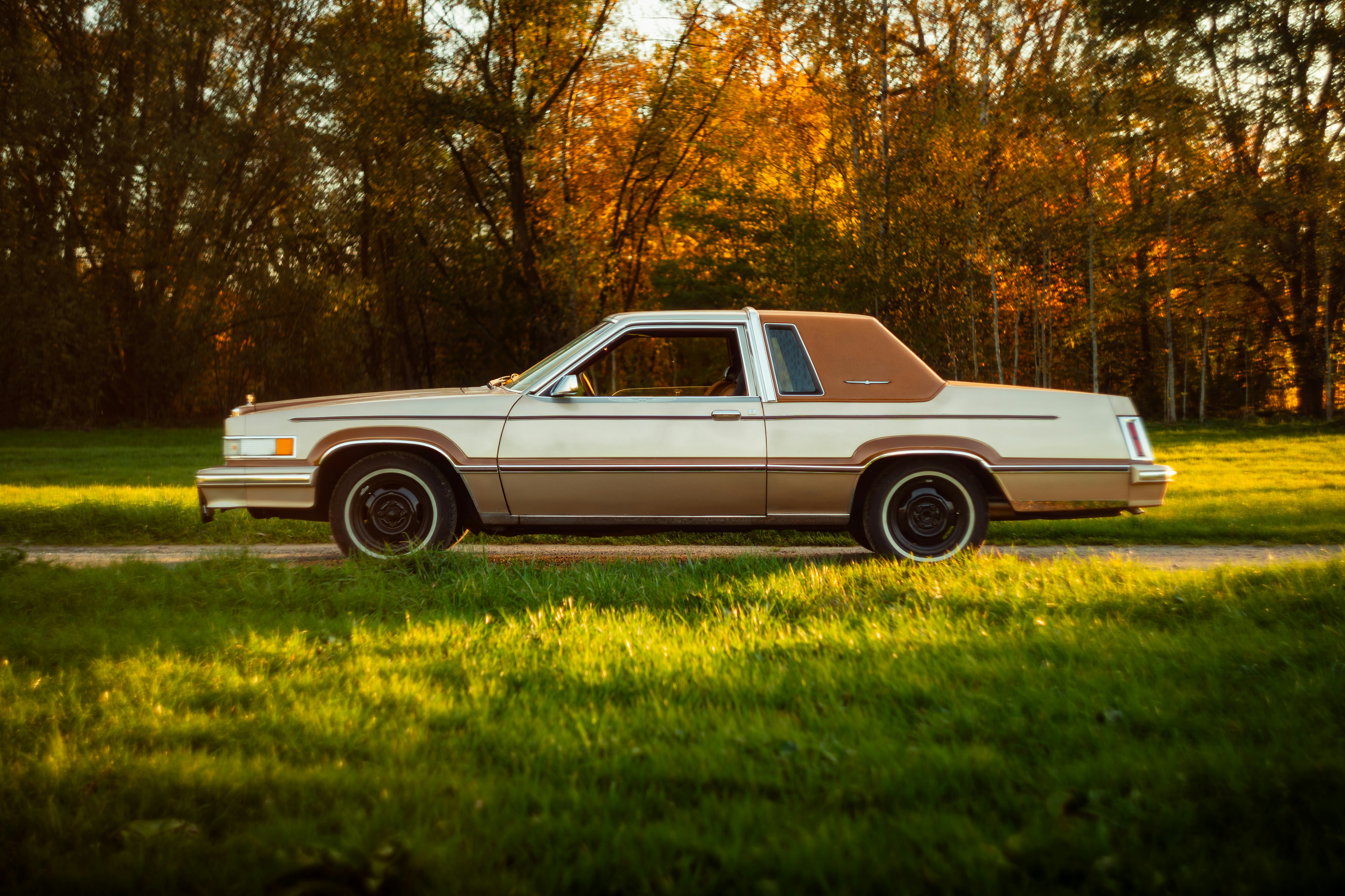 Photo by venajeborec