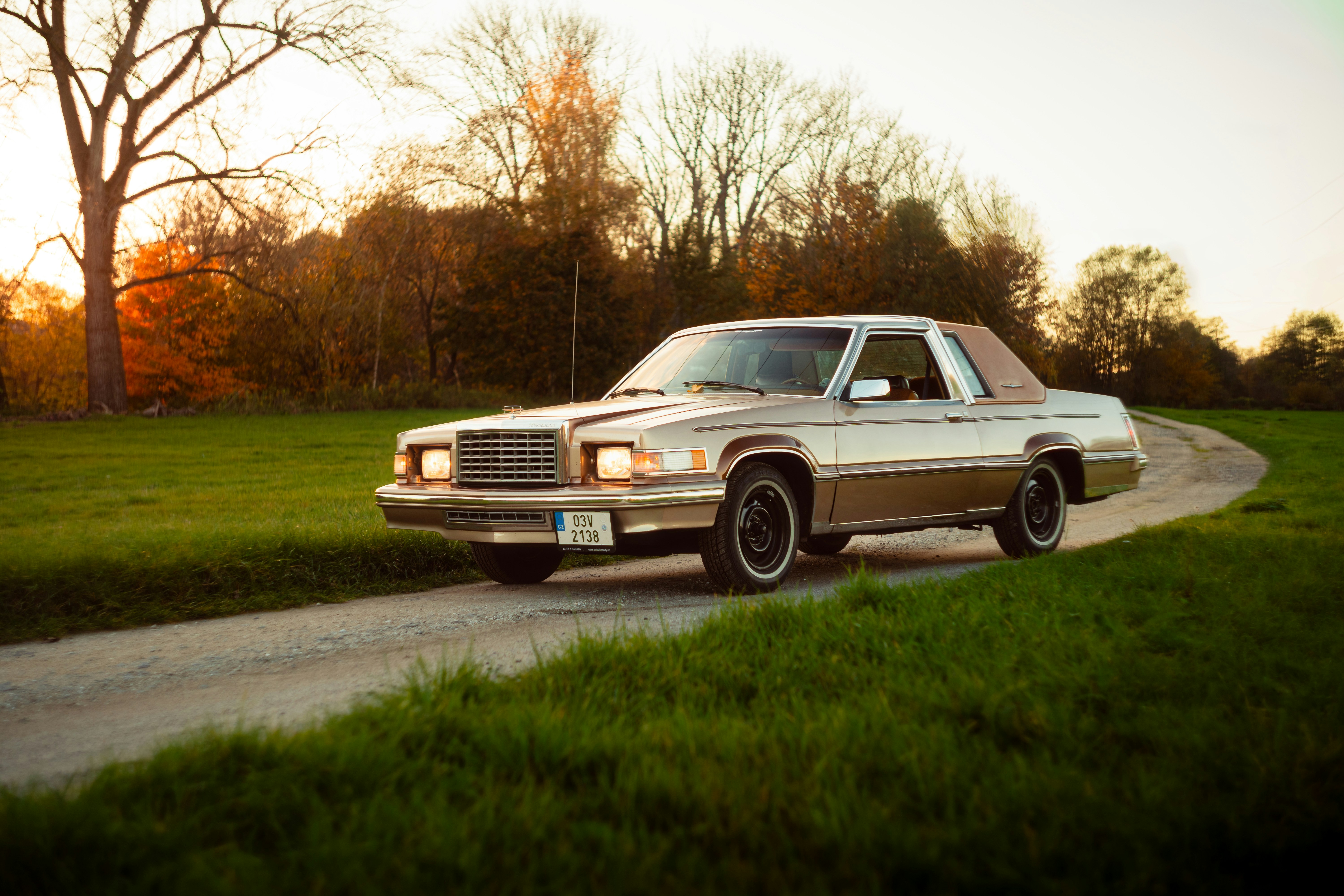 Photo by venajeborec