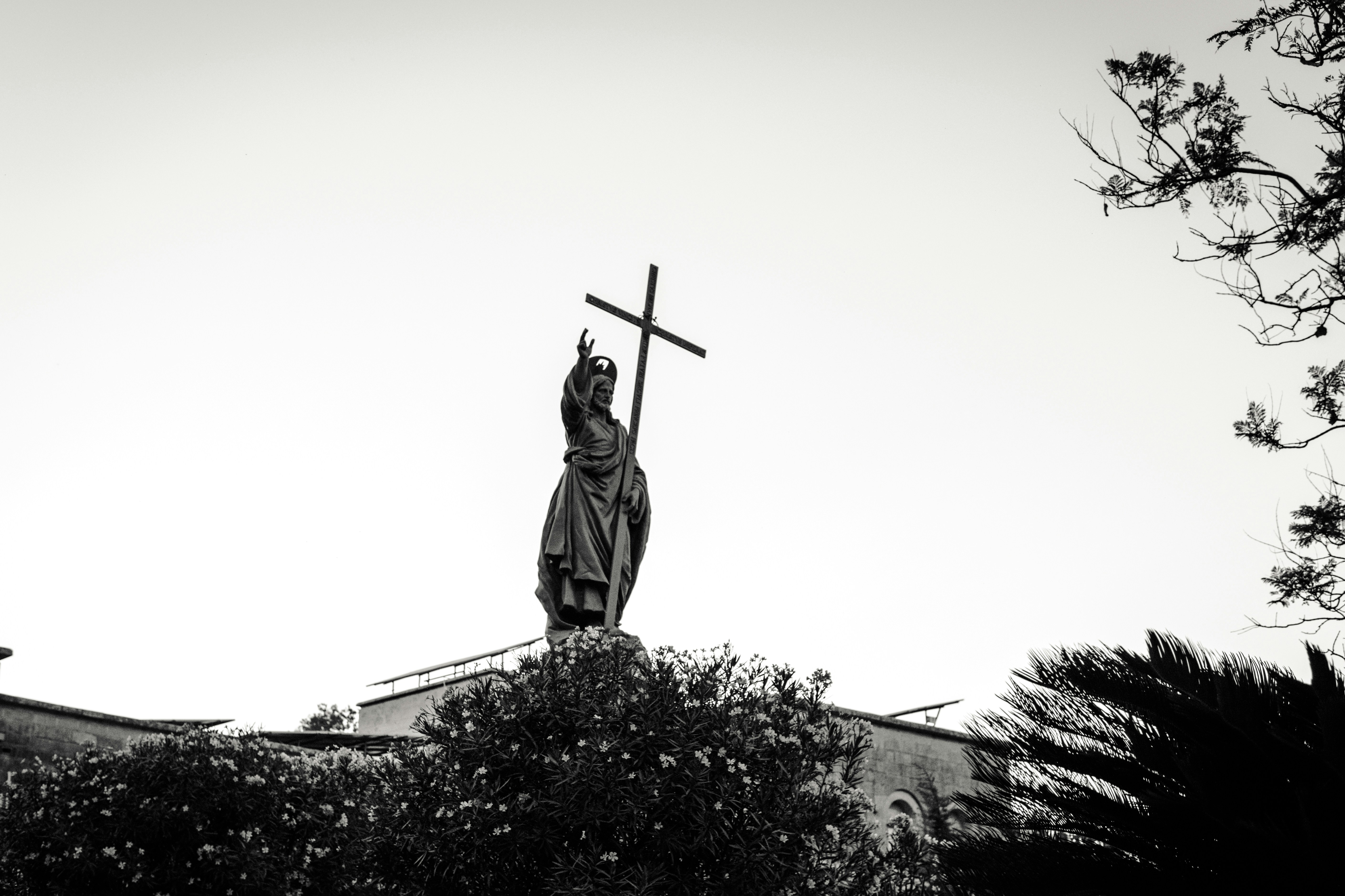 Photo by igorharrier