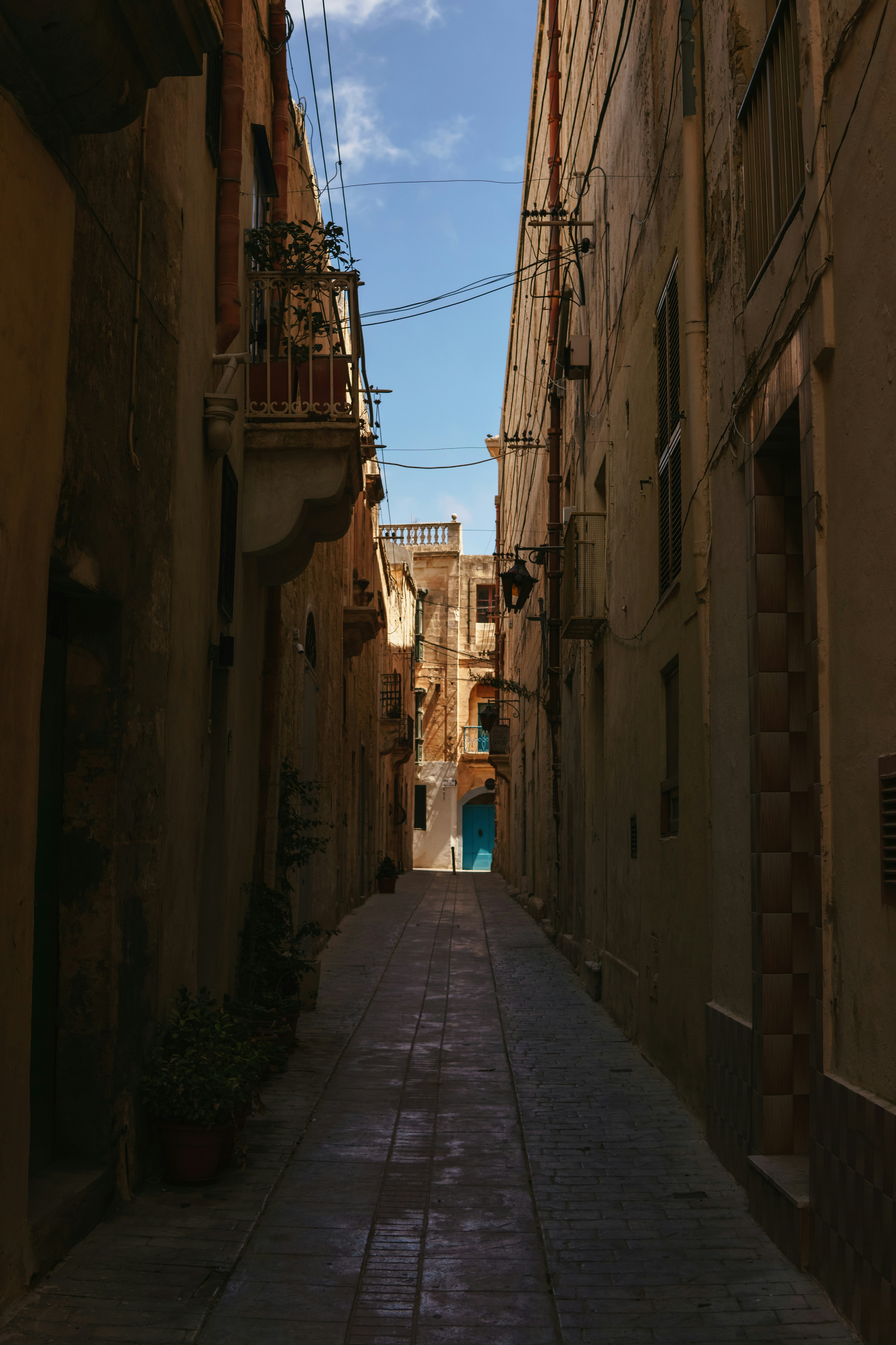 Photo by igorharrier