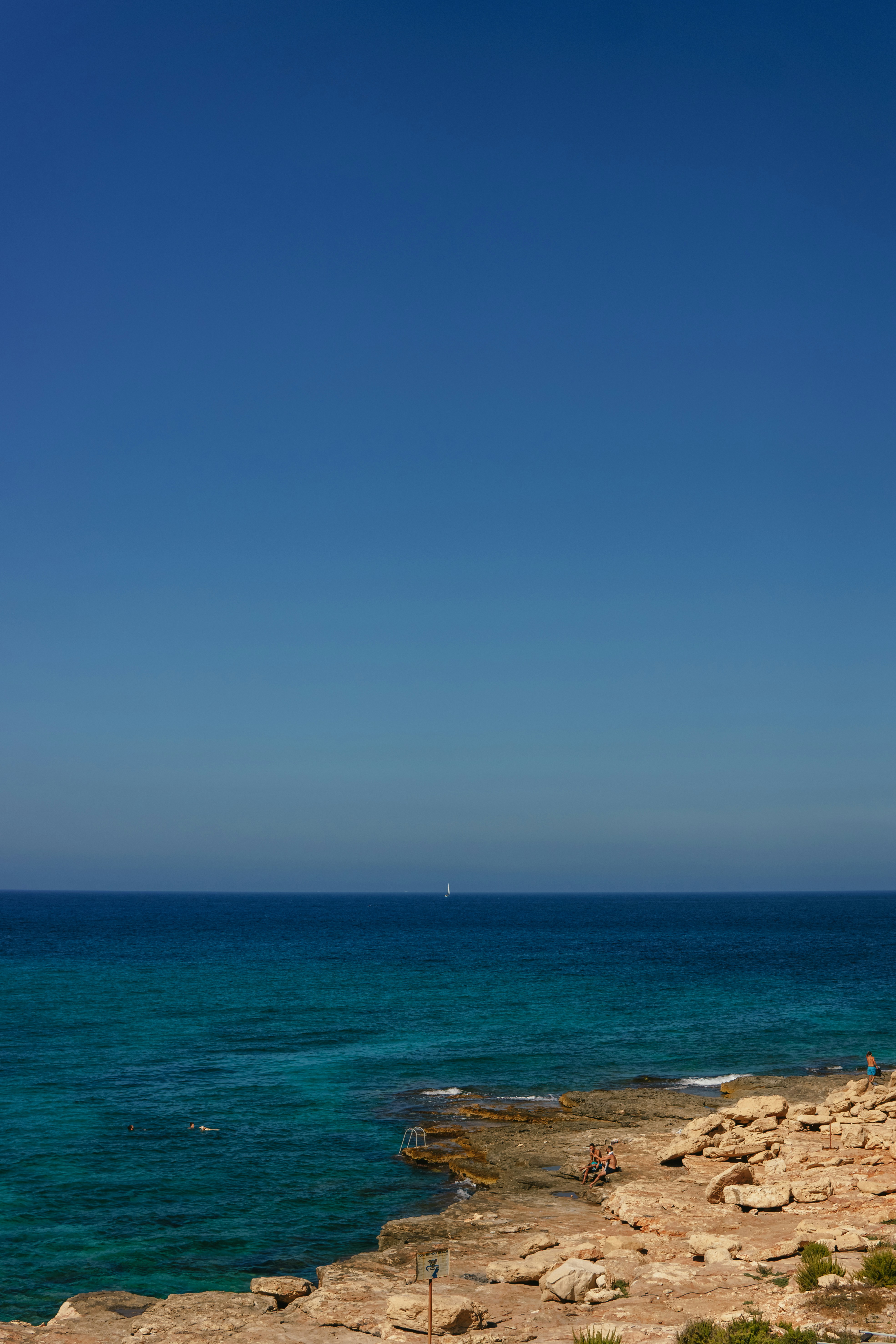 Photo by igorharrier