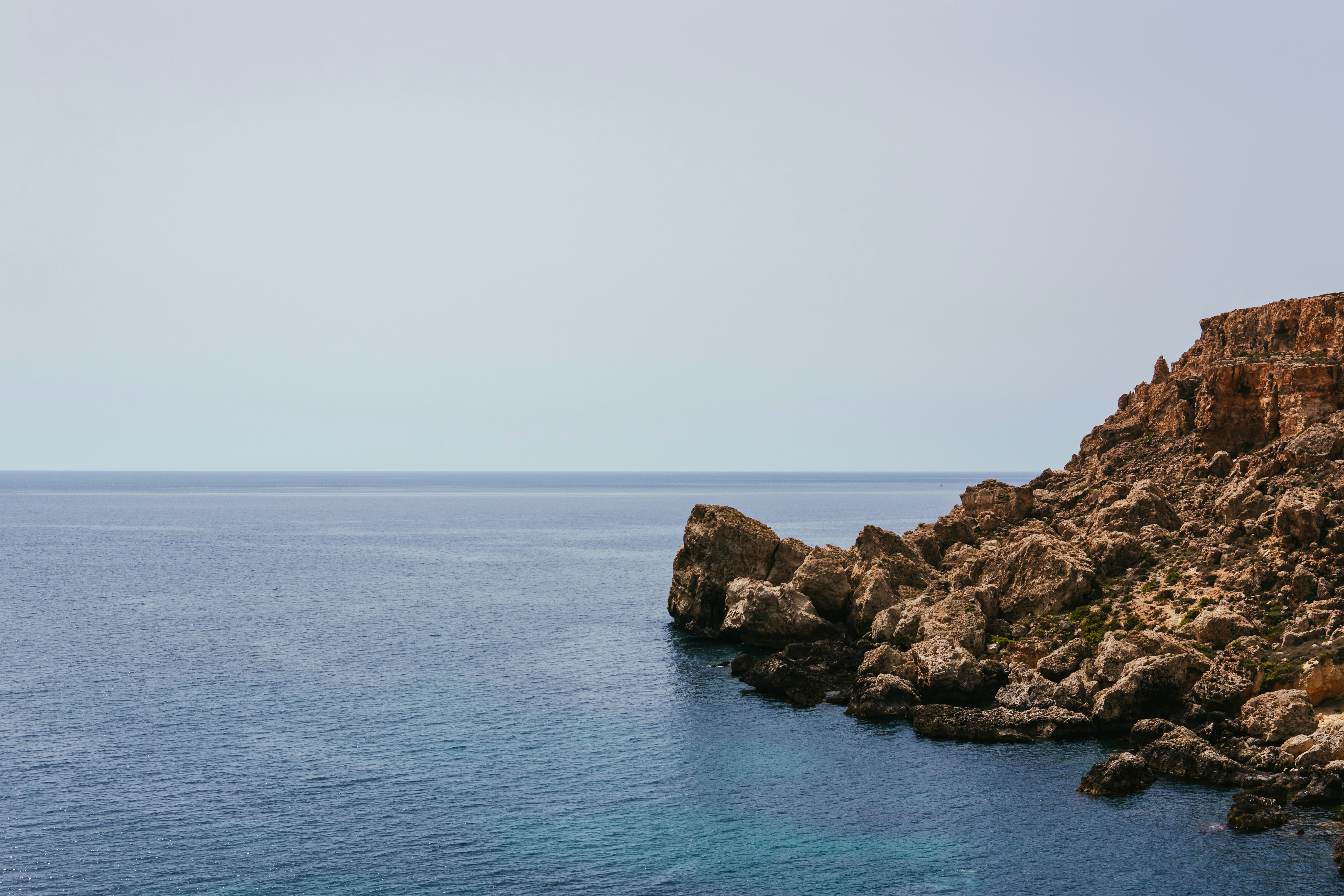 Photo by igorharrier