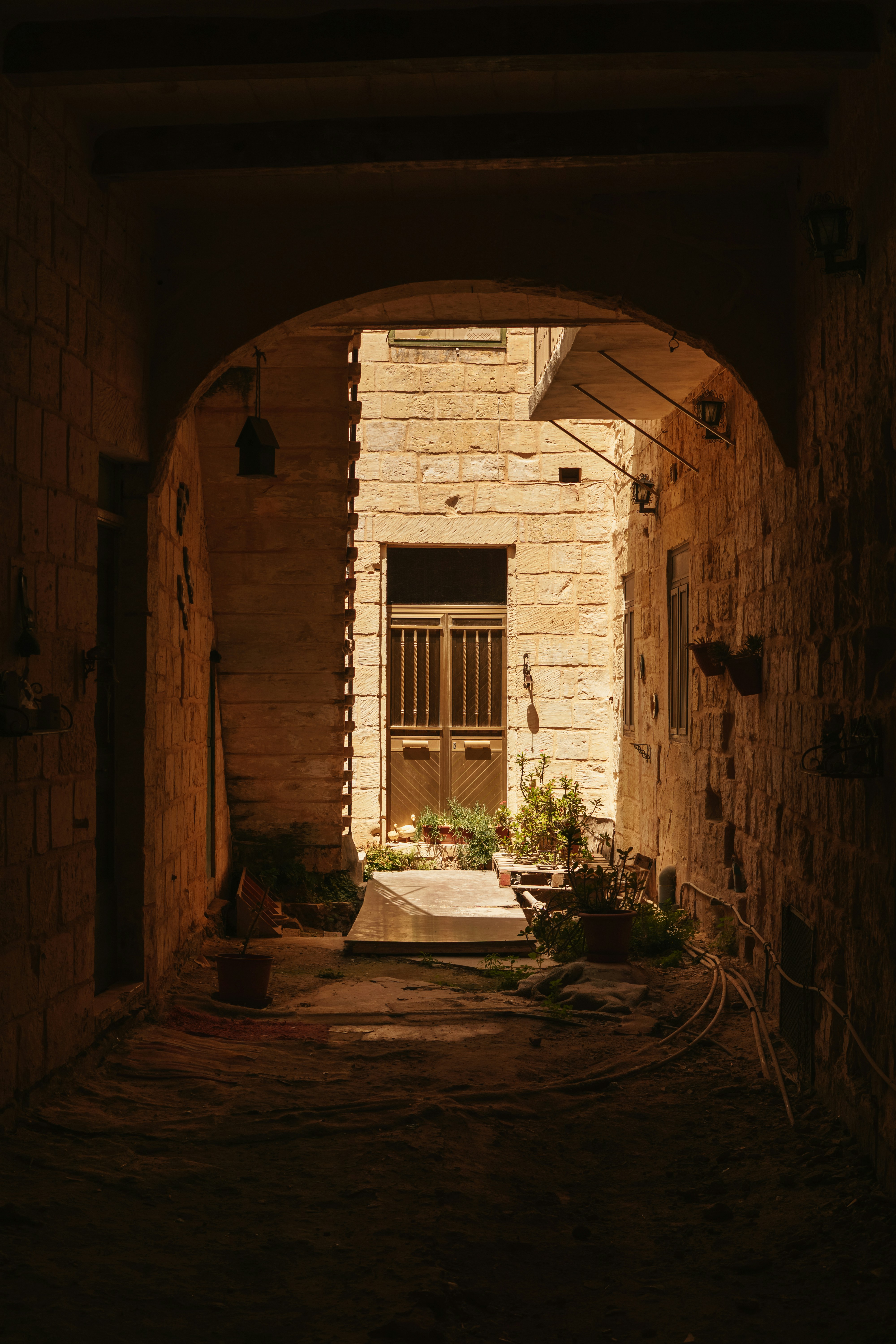 Photo by igorharrier