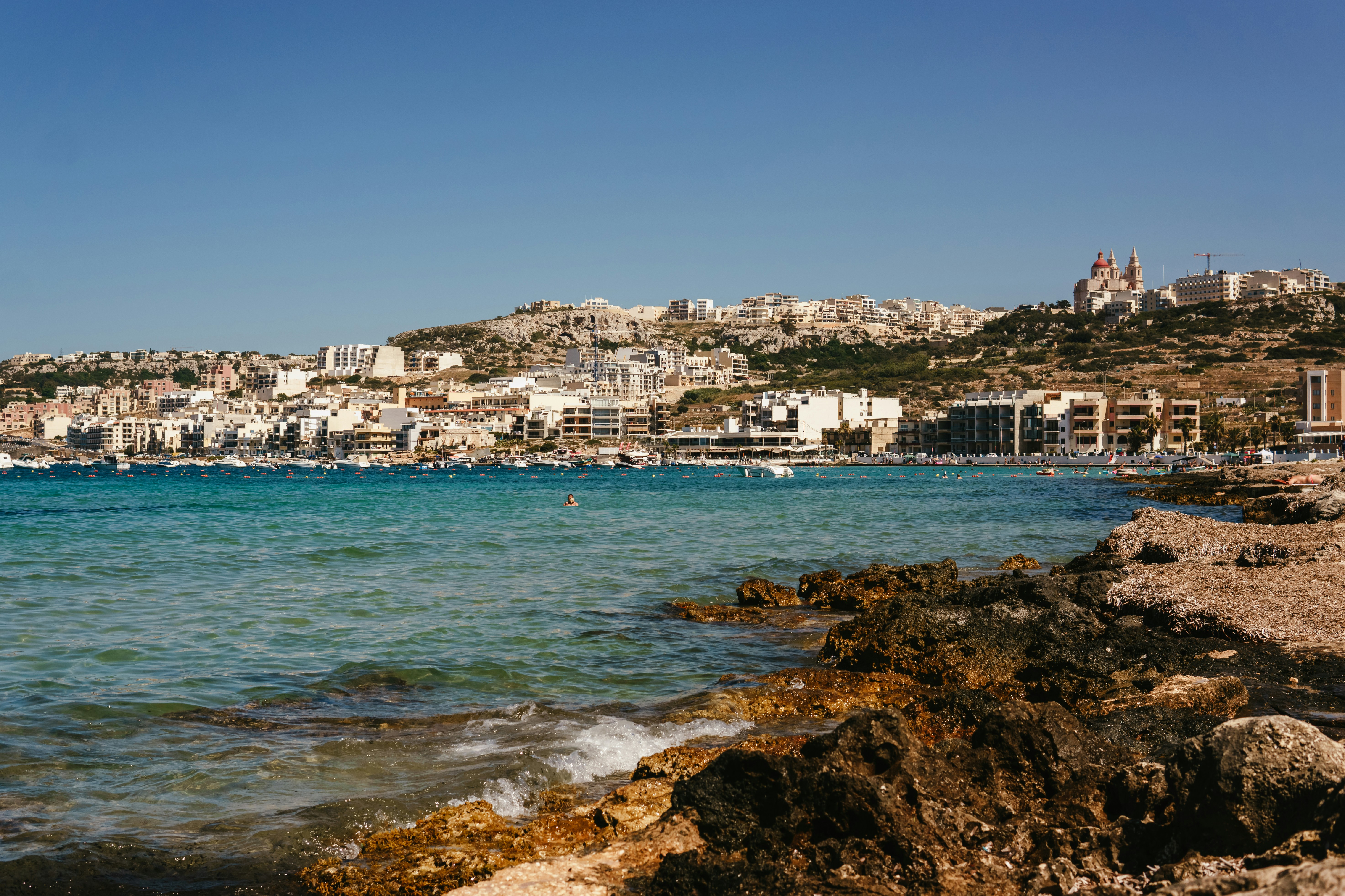 Photo by igorharrier