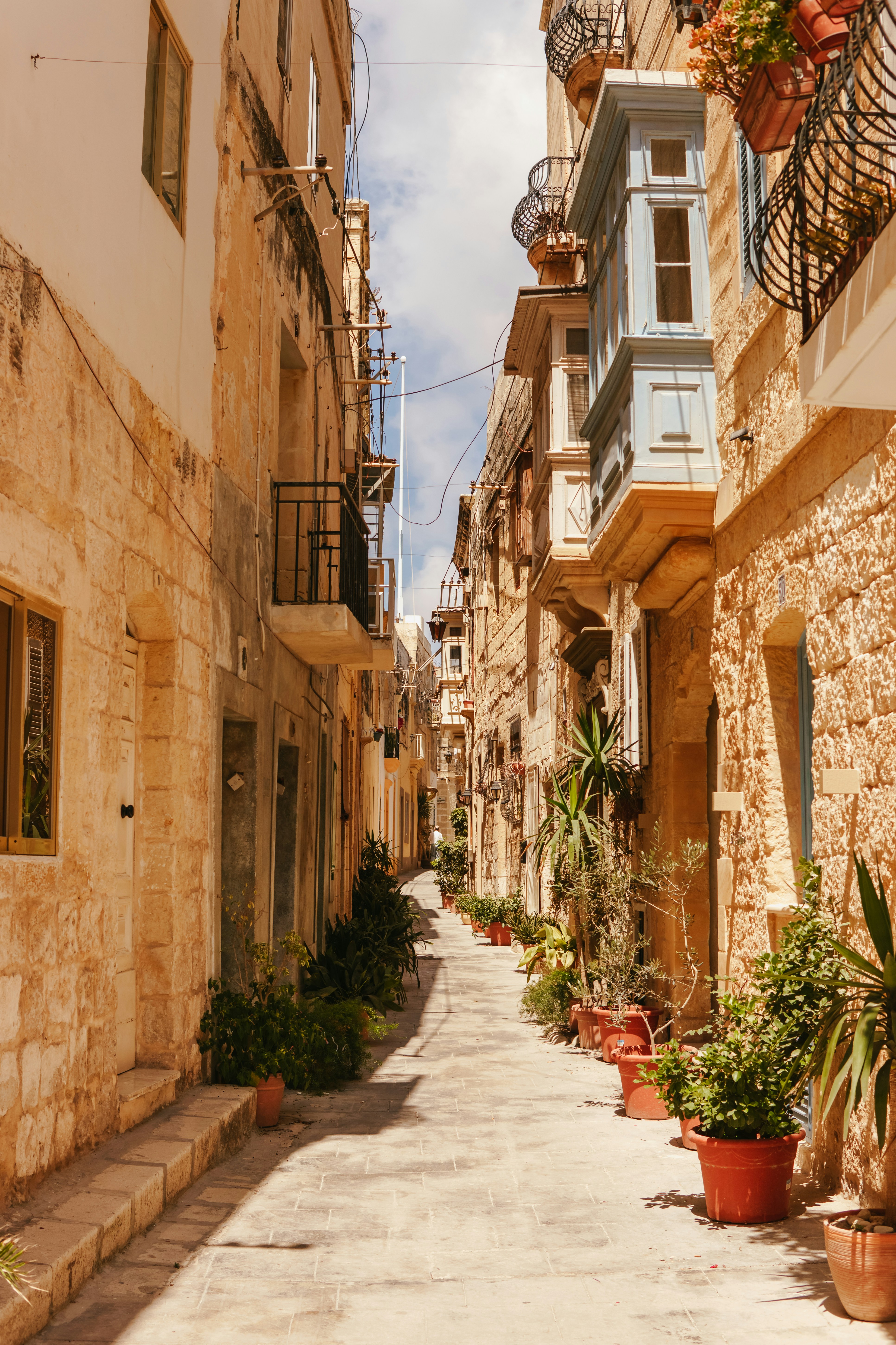 Photo by igorharrier