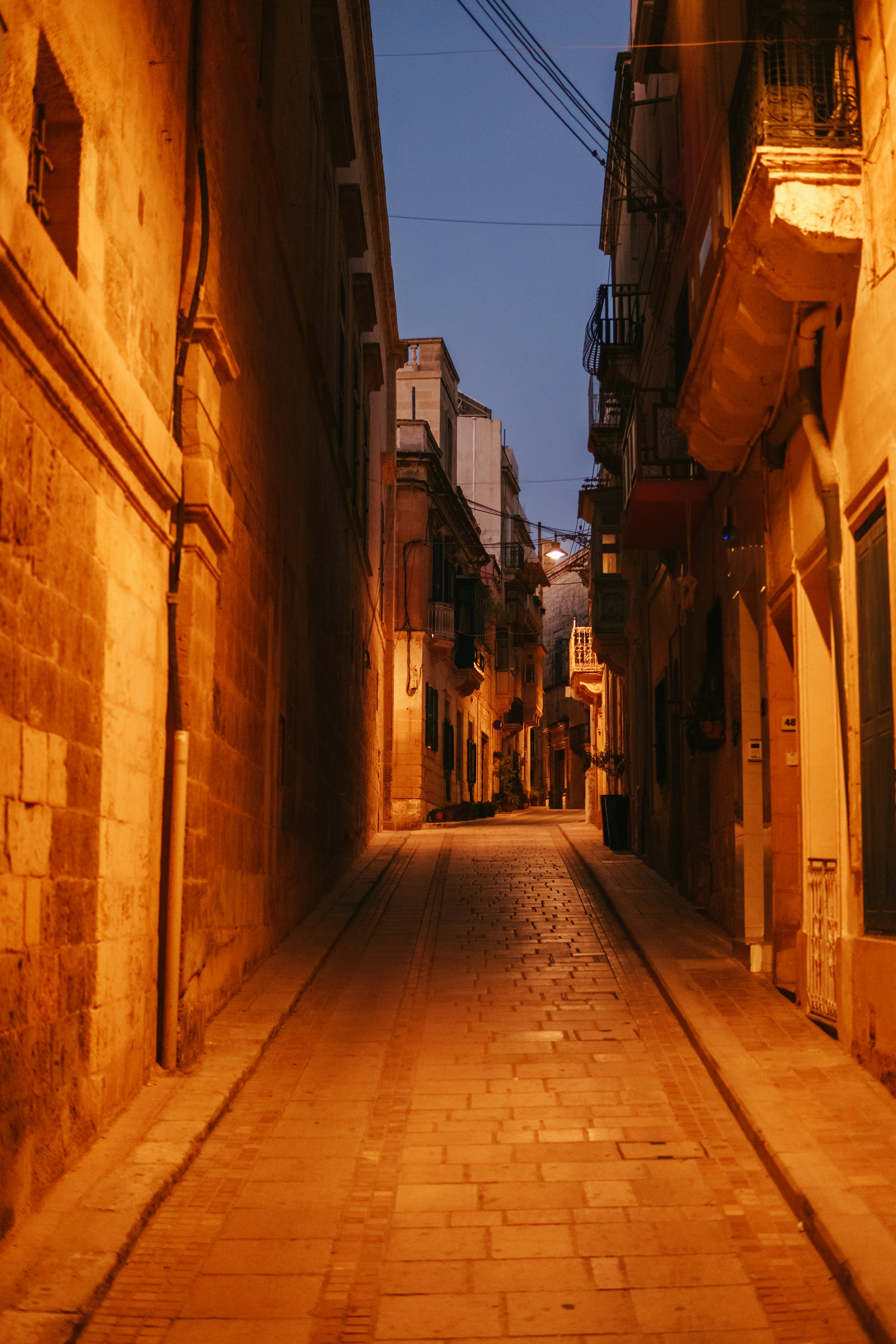 Photo by igorharrier