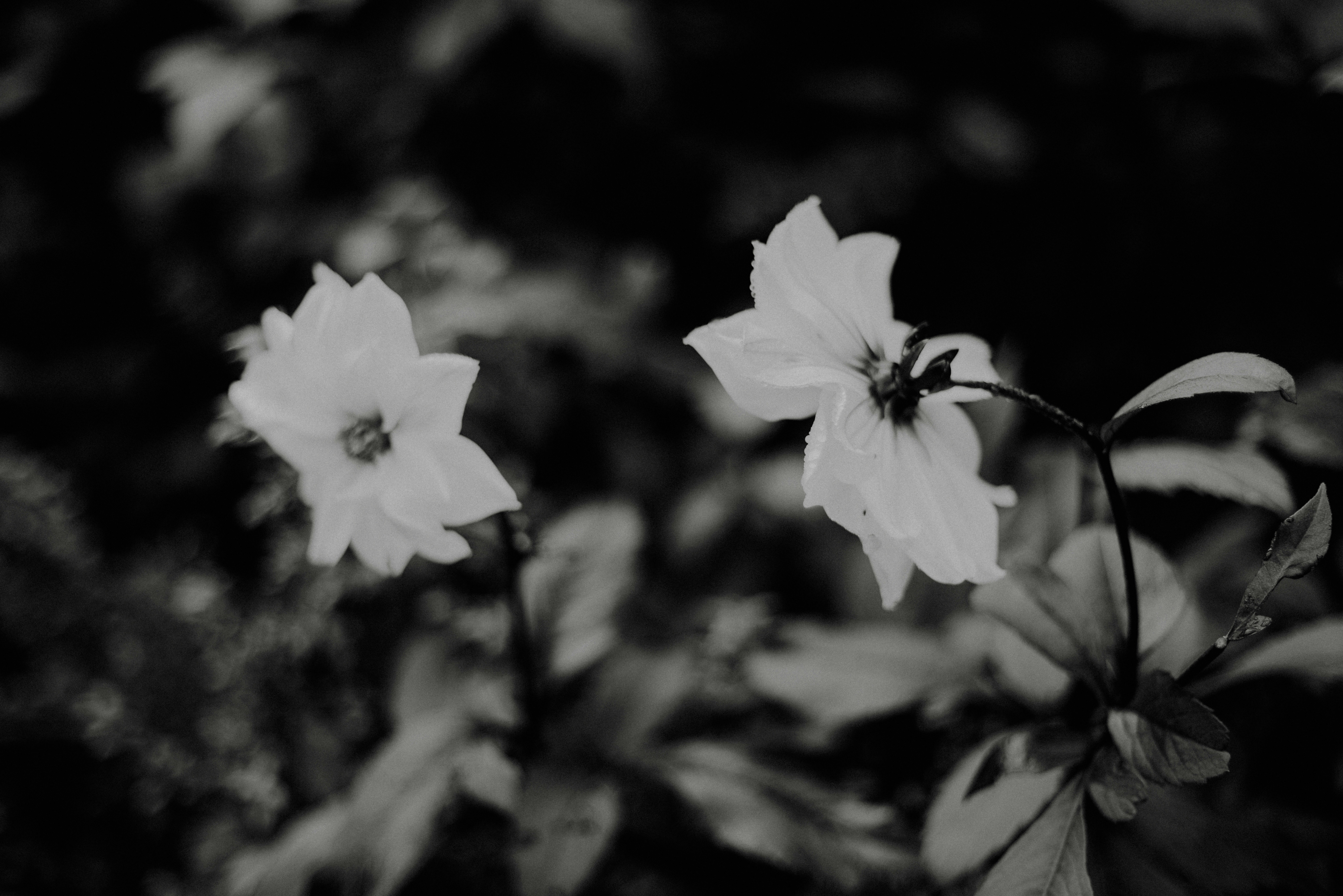 Photo by anniespratt