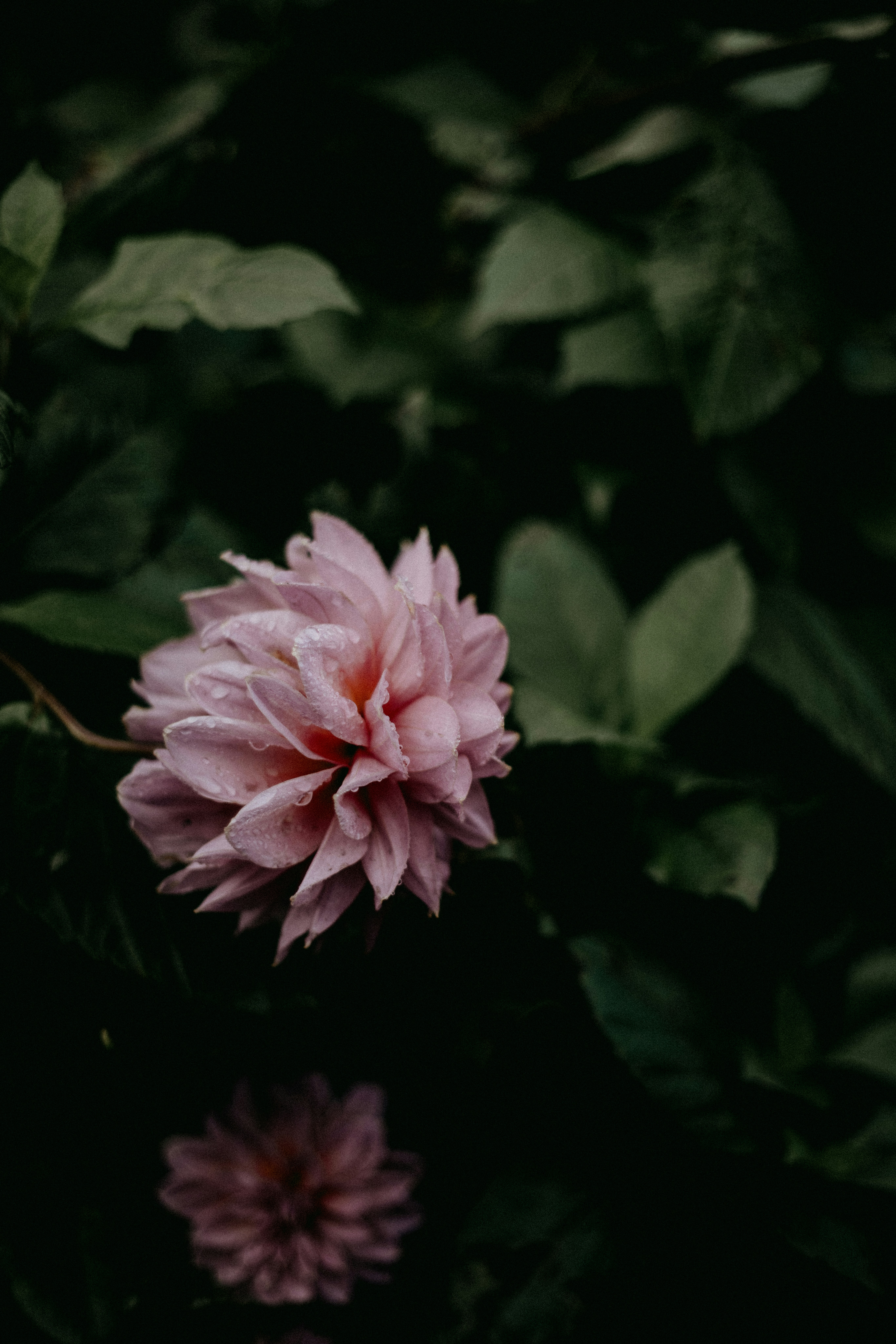 Photo by anniespratt