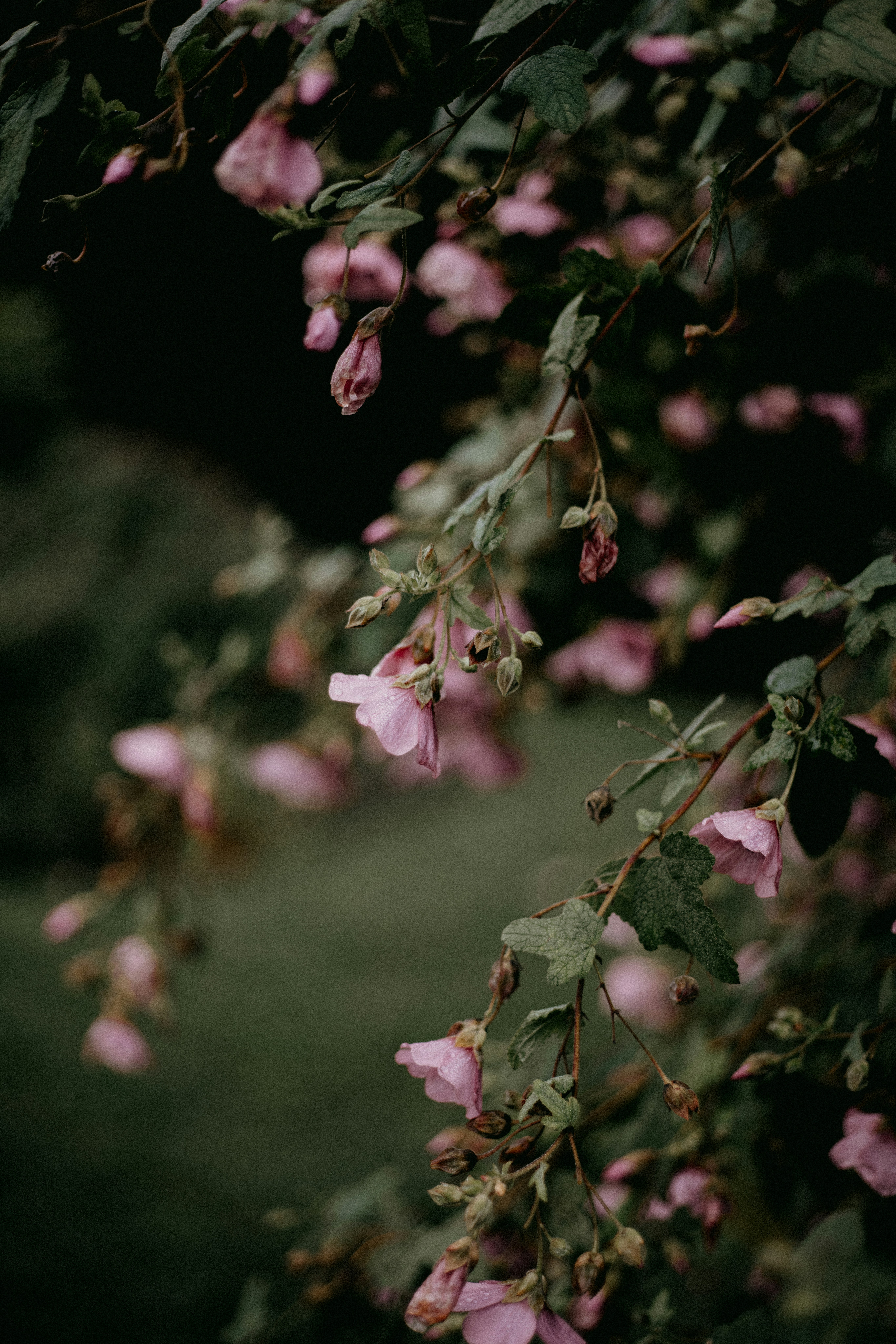 Photo by anniespratt