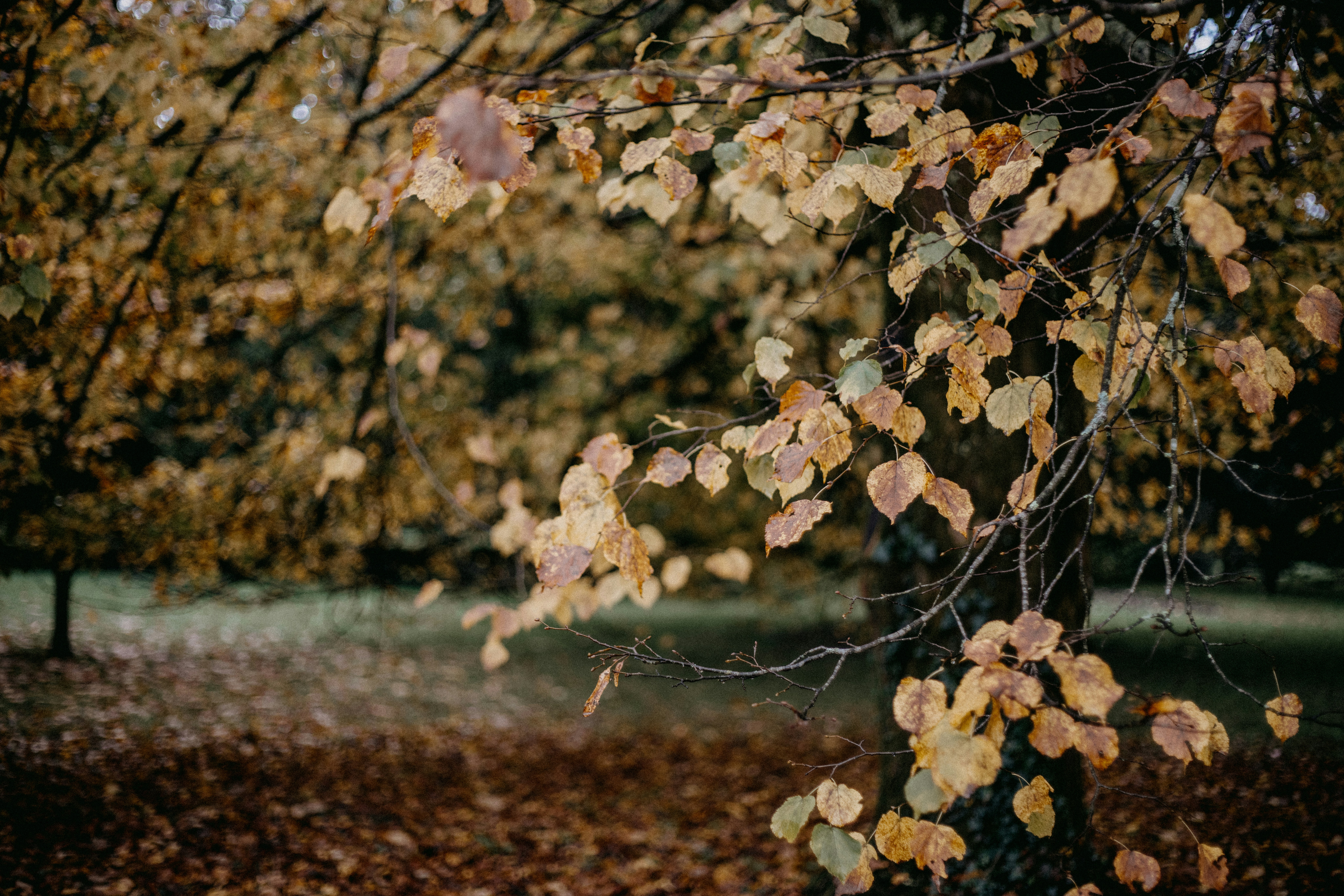 Photo by anniespratt