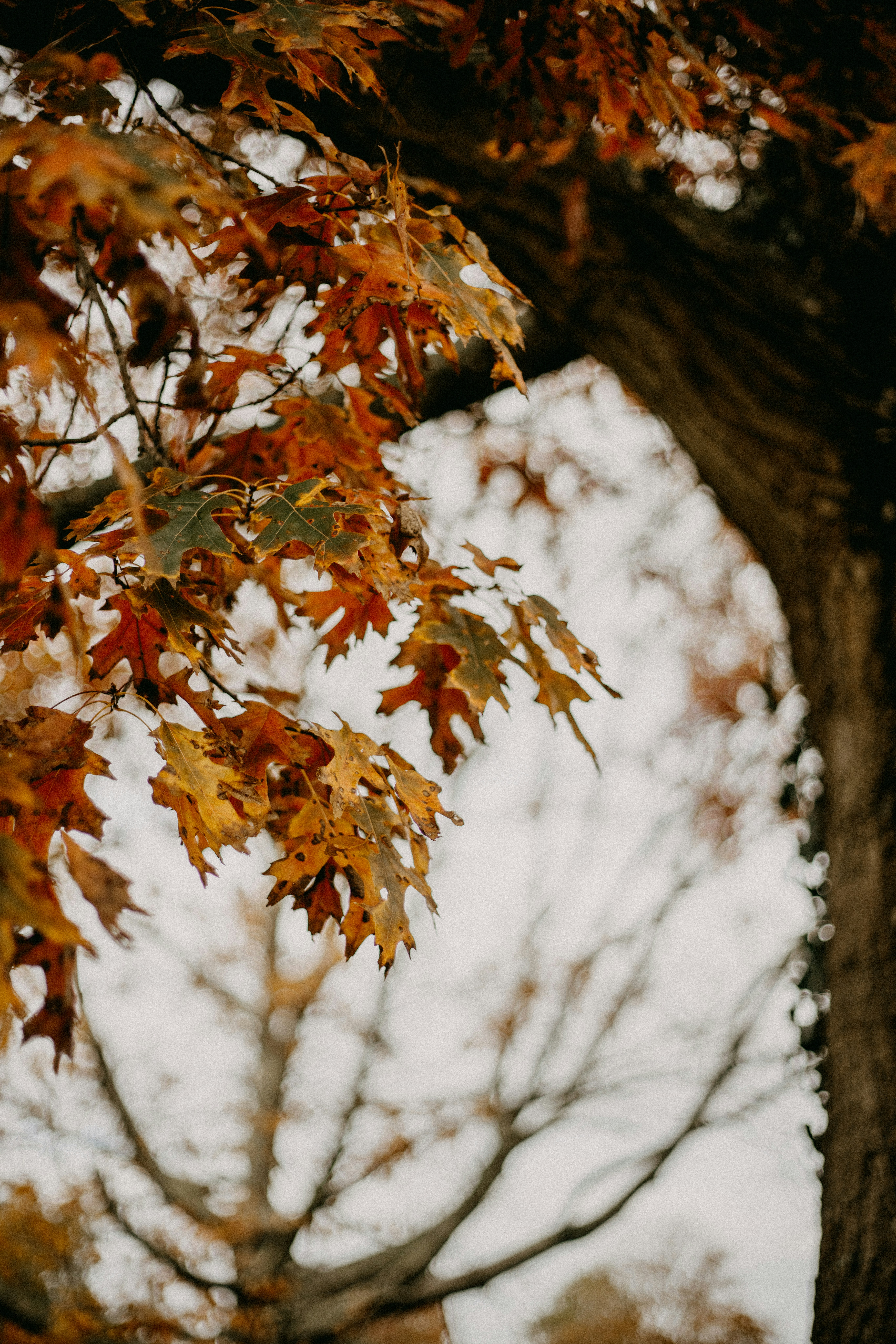 Photo by anniespratt