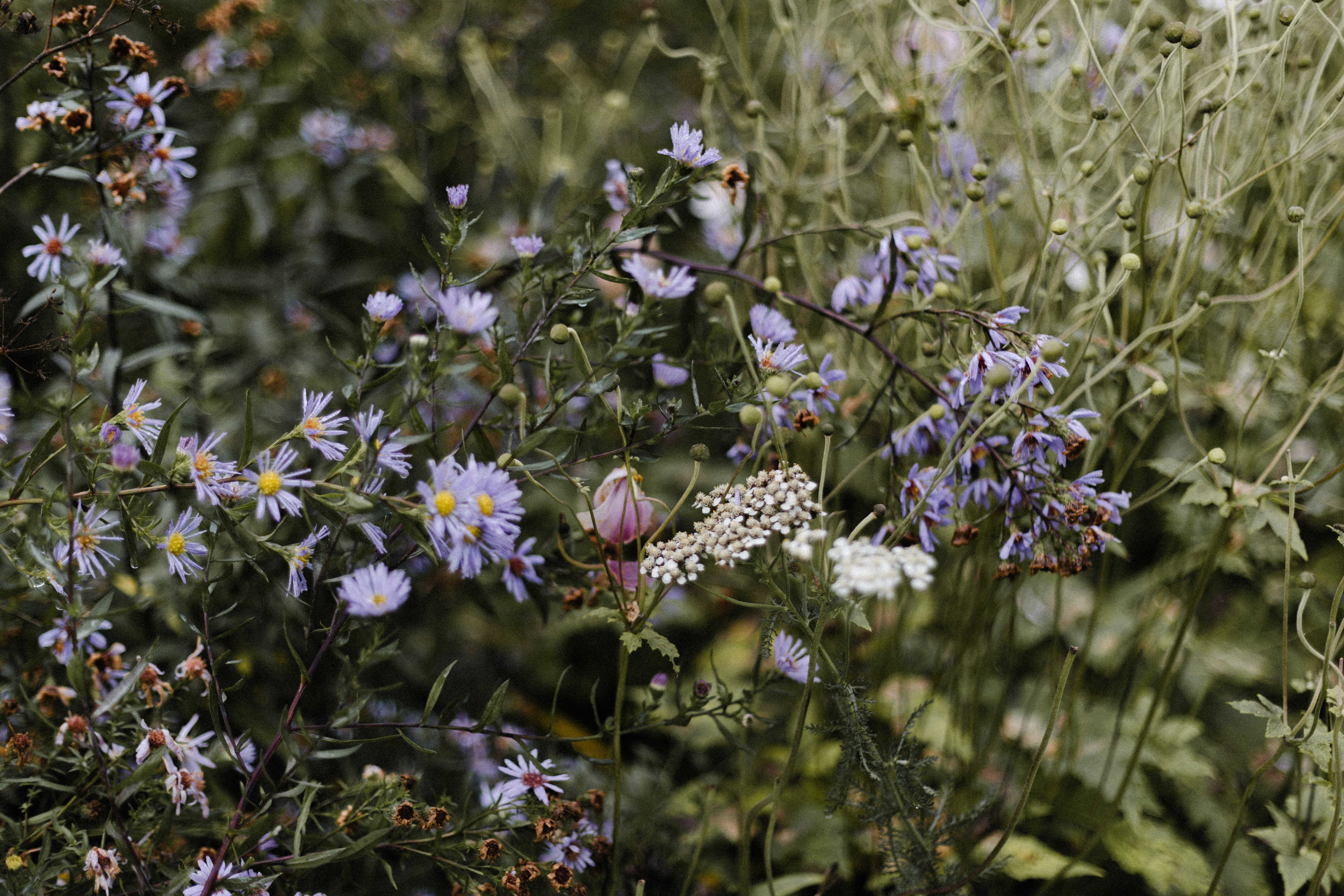 Photo by anniespratt