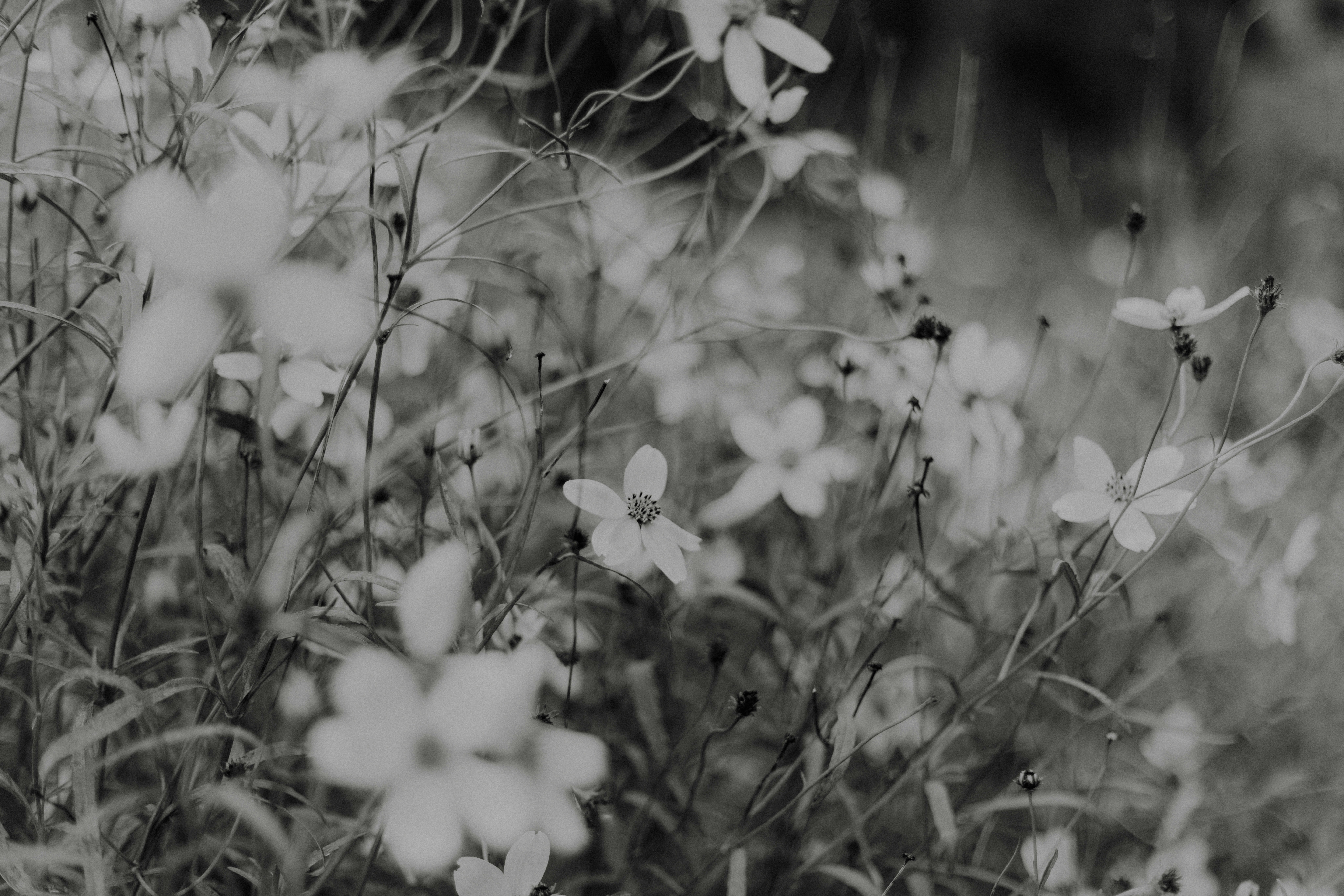 Photo by anniespratt