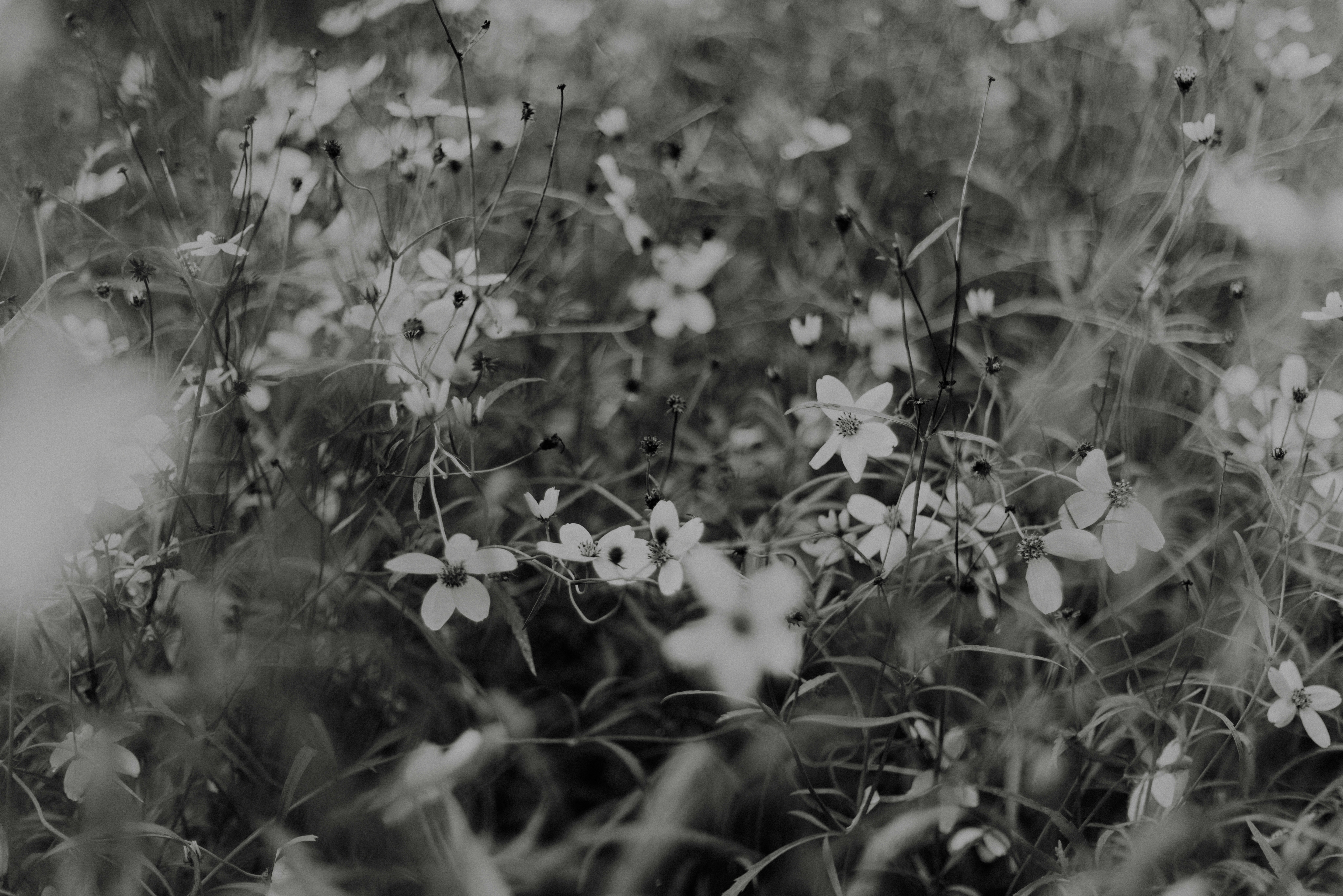 Photo by anniespratt