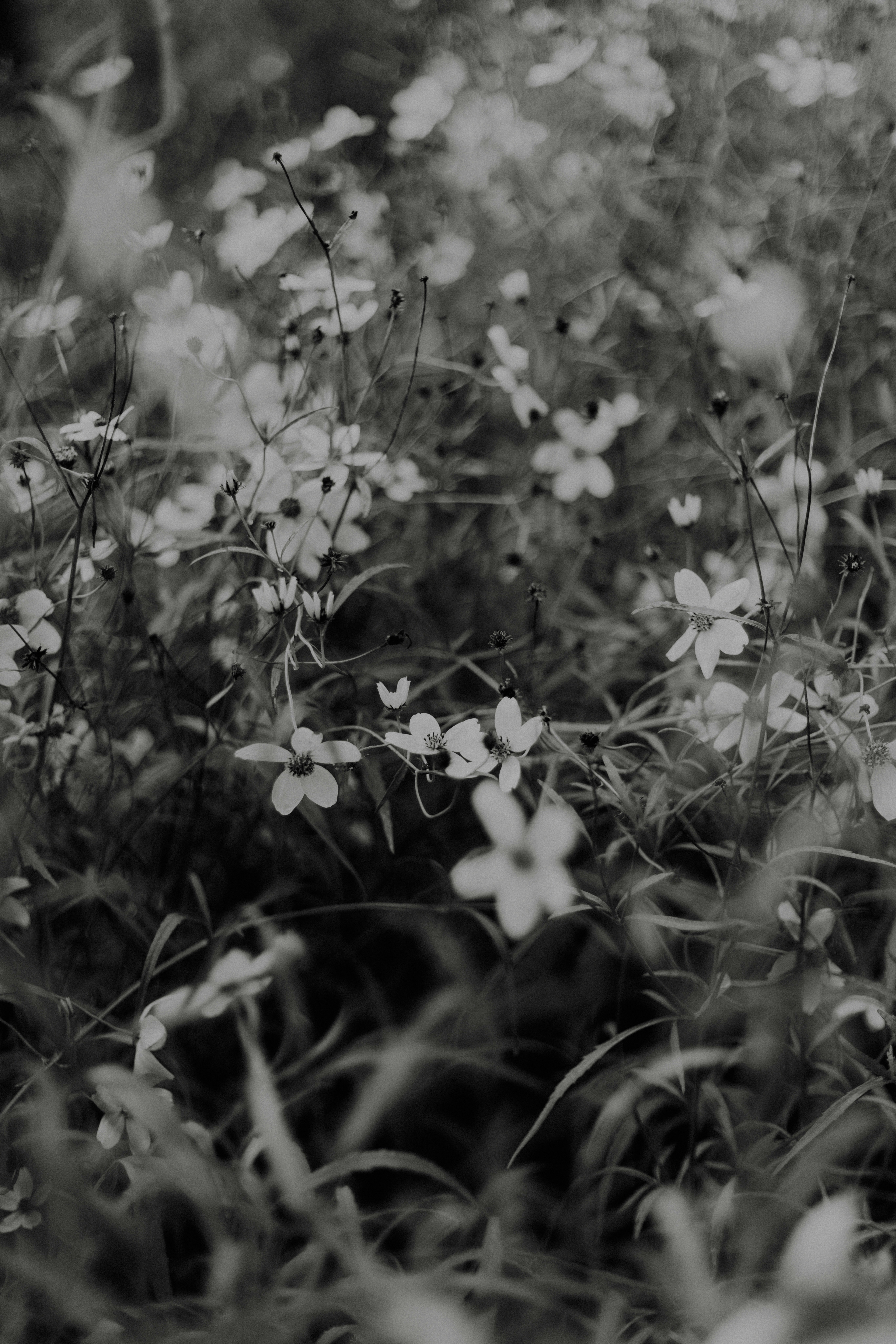 Photo by anniespratt