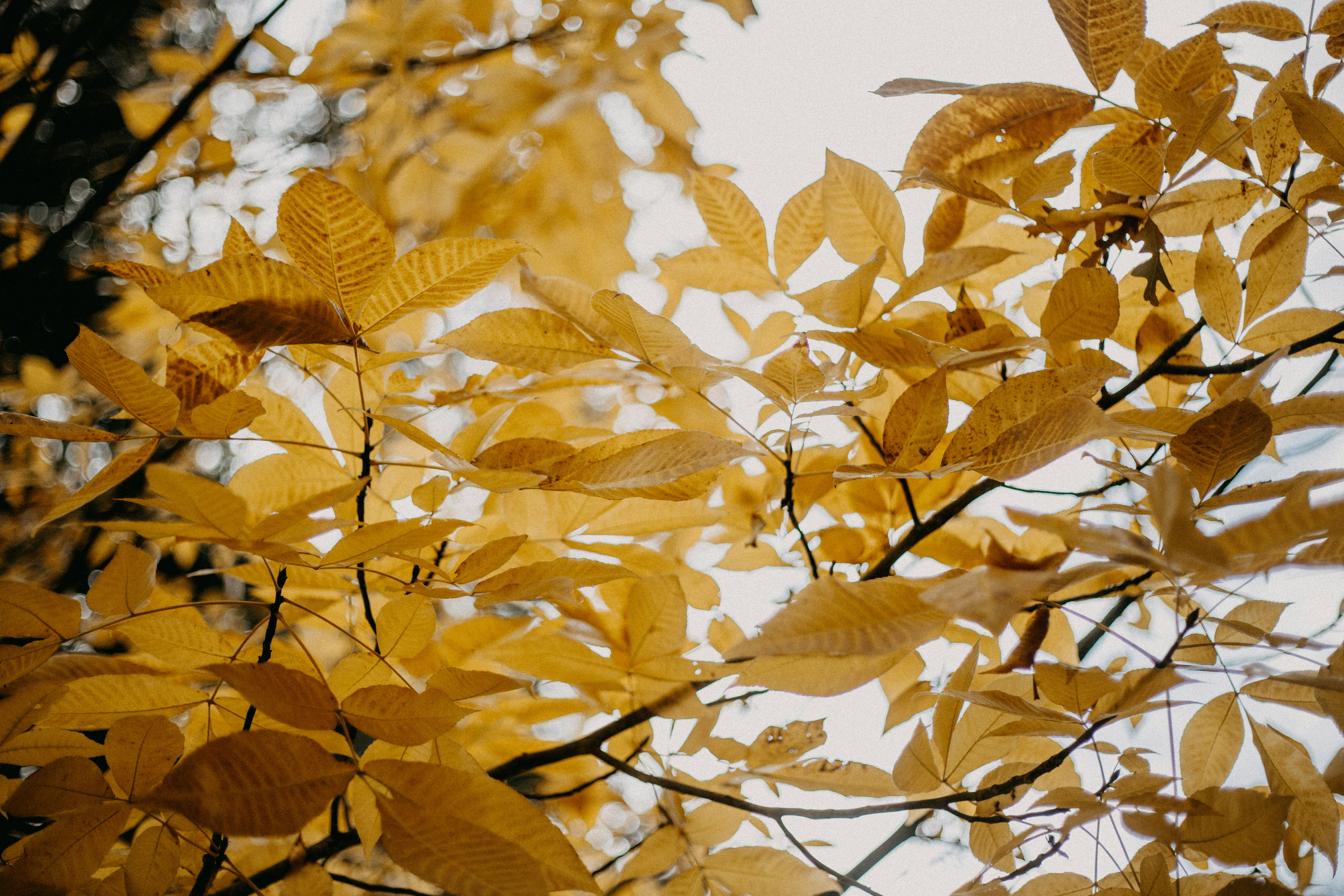 Photo by anniespratt