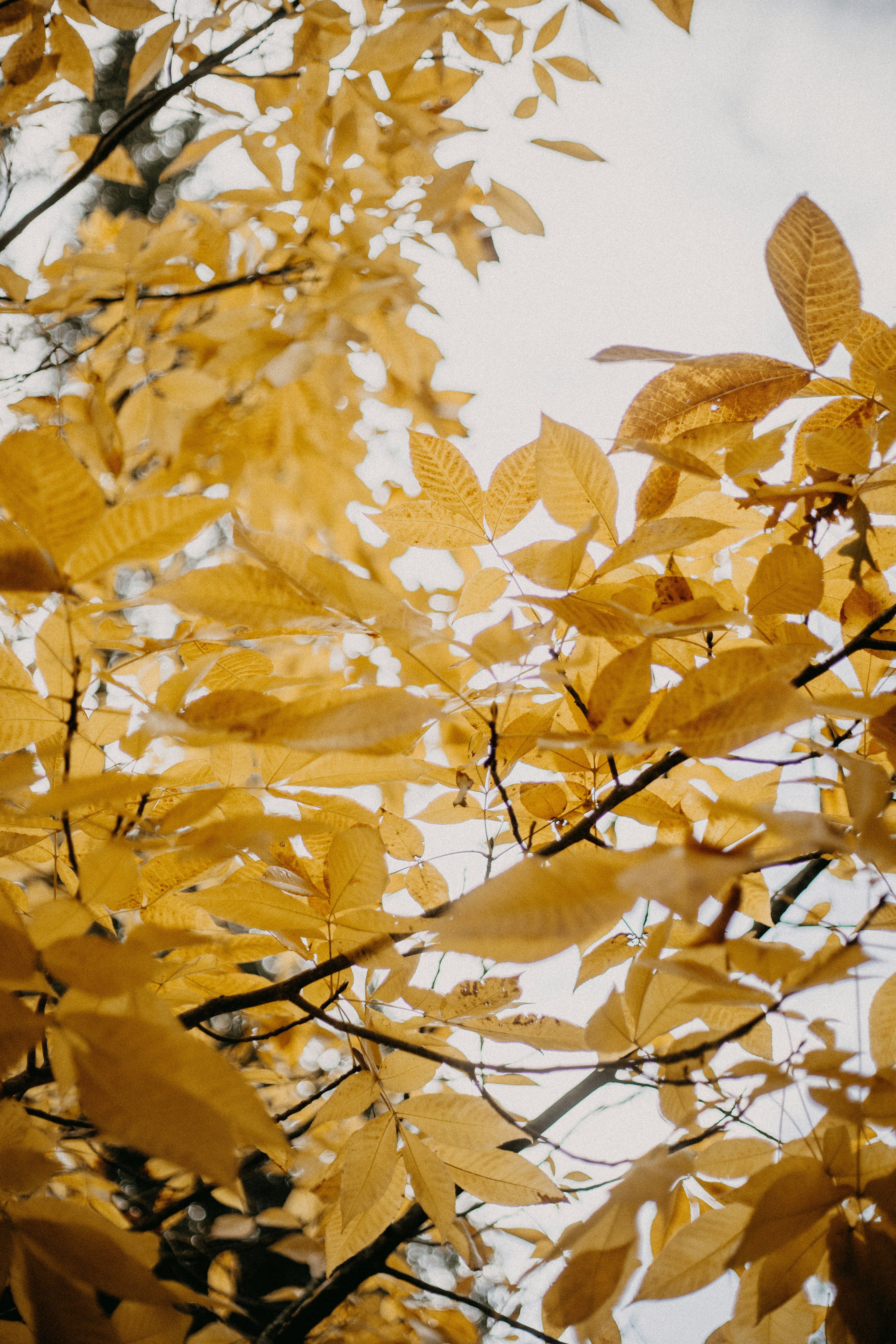 Photo by anniespratt