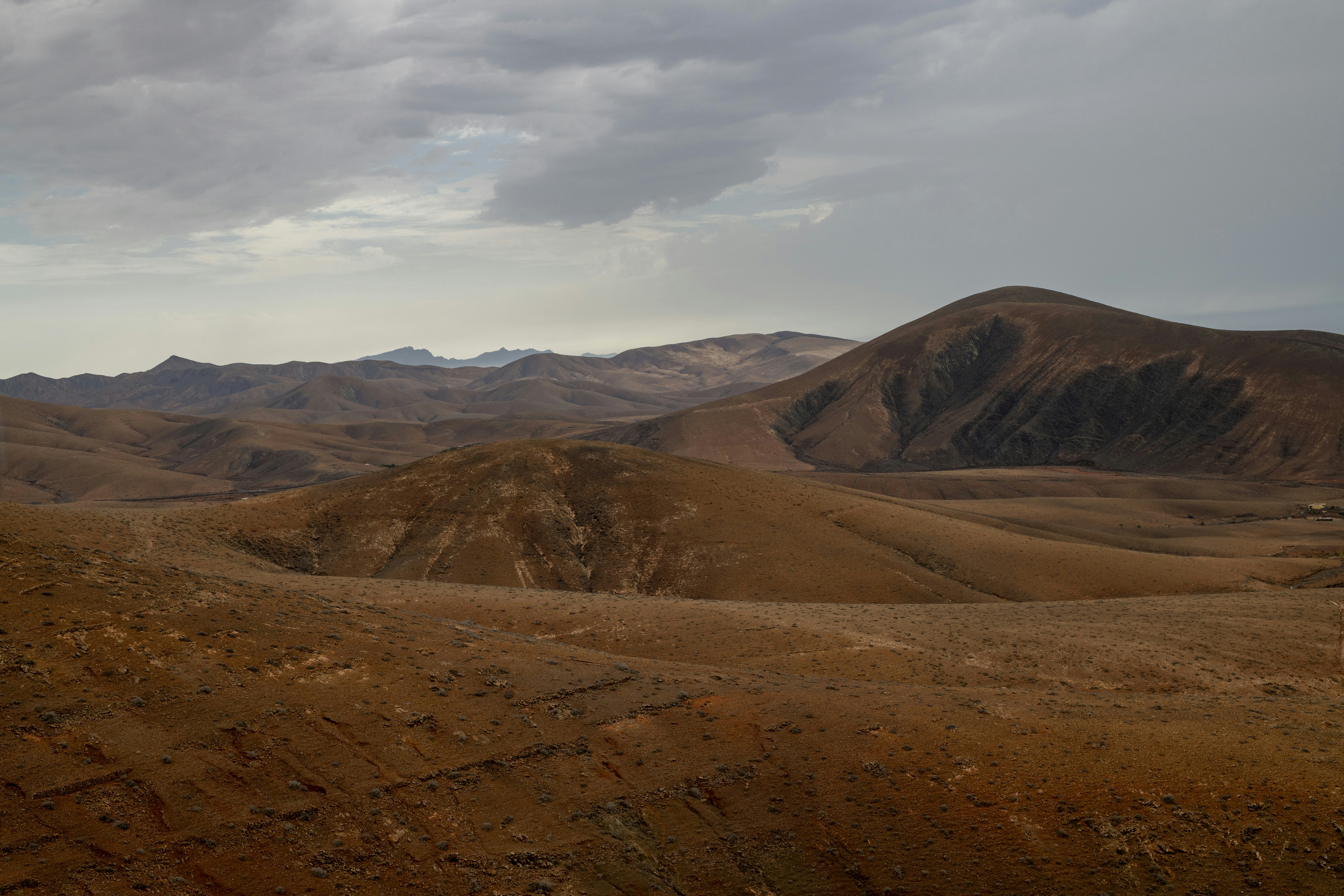 Photo by lauraadaiphoto