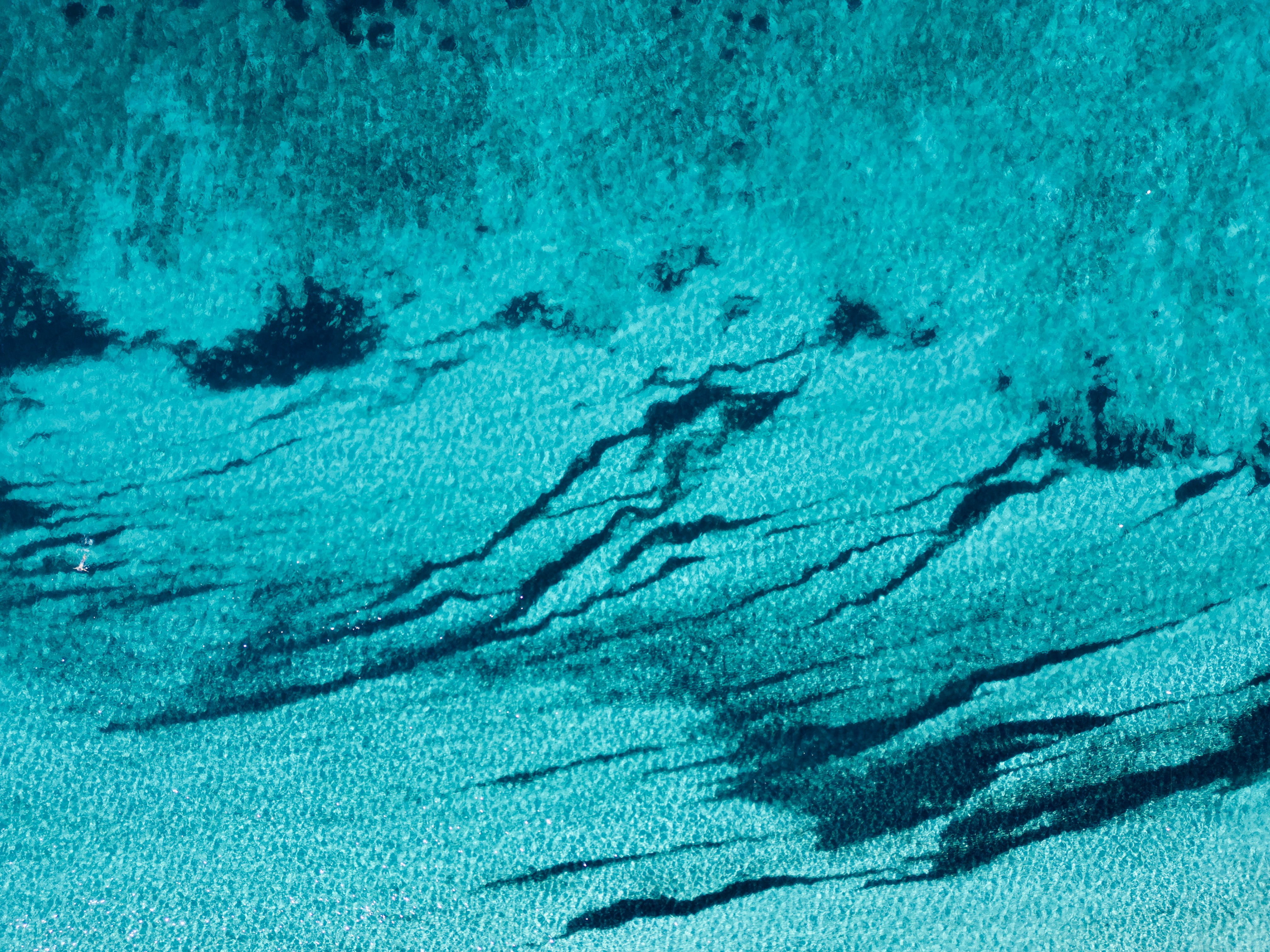 Photo by paulinpixels