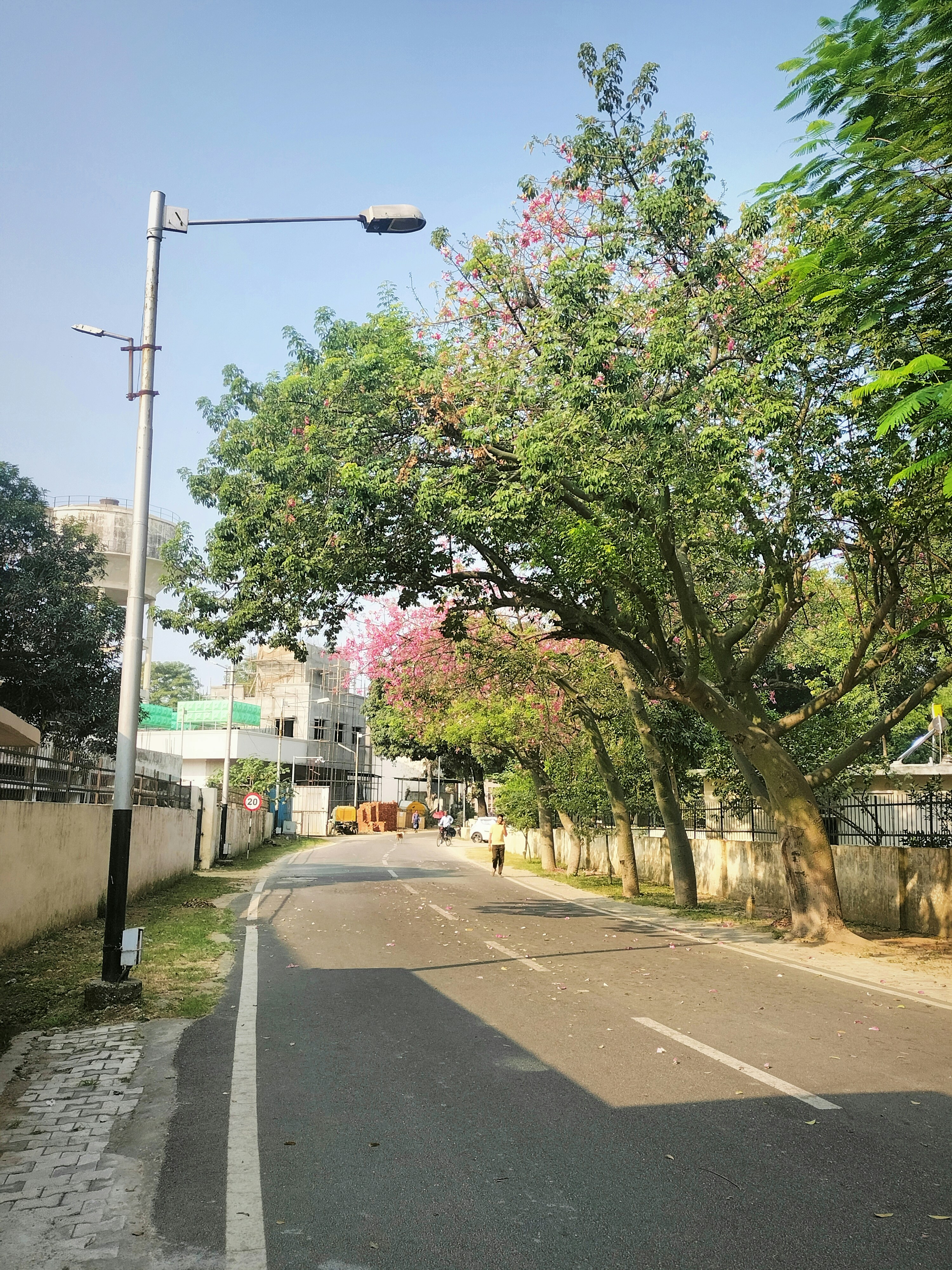 Photo by ranjansarkar