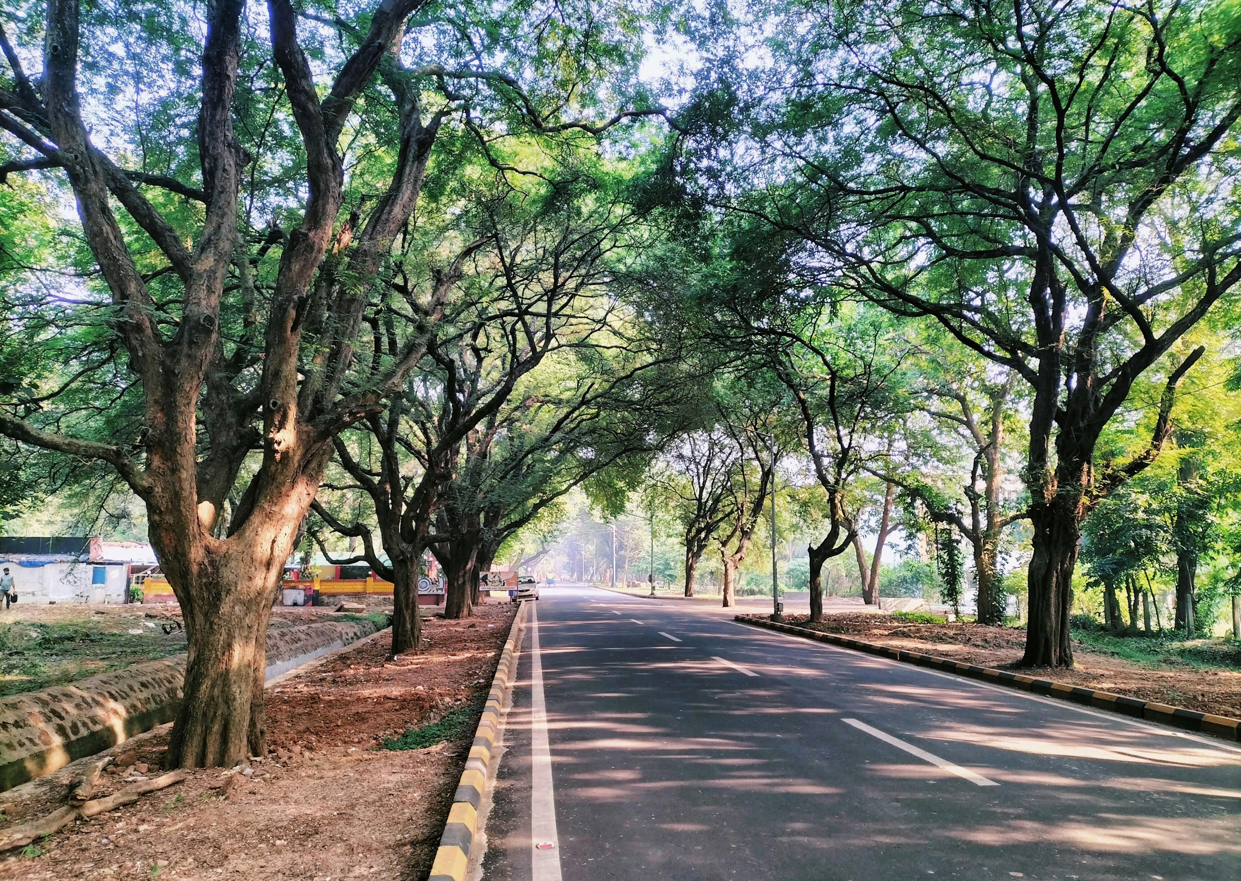 Photo by ranjansarkar