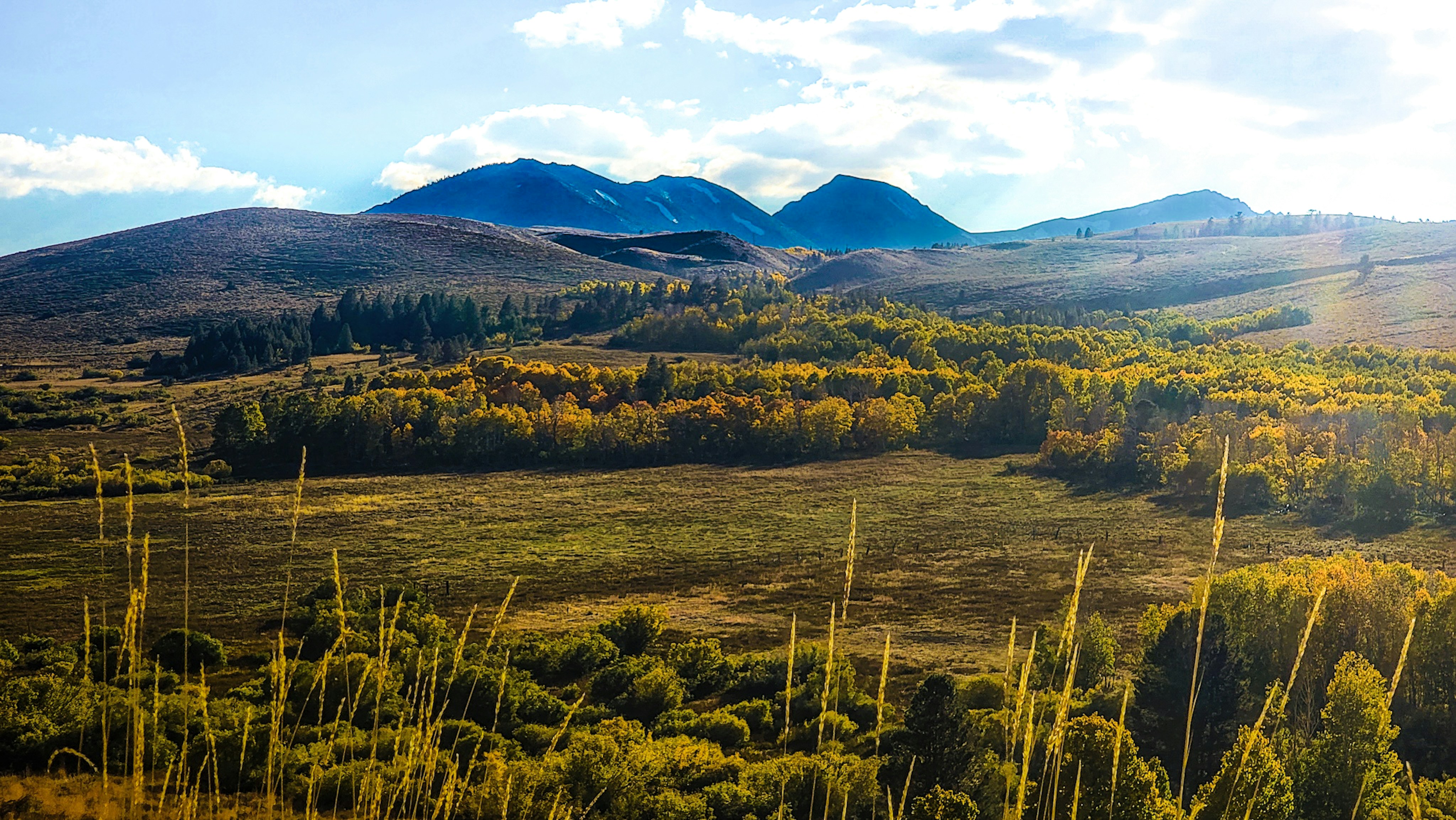 Photo by dudubangbang