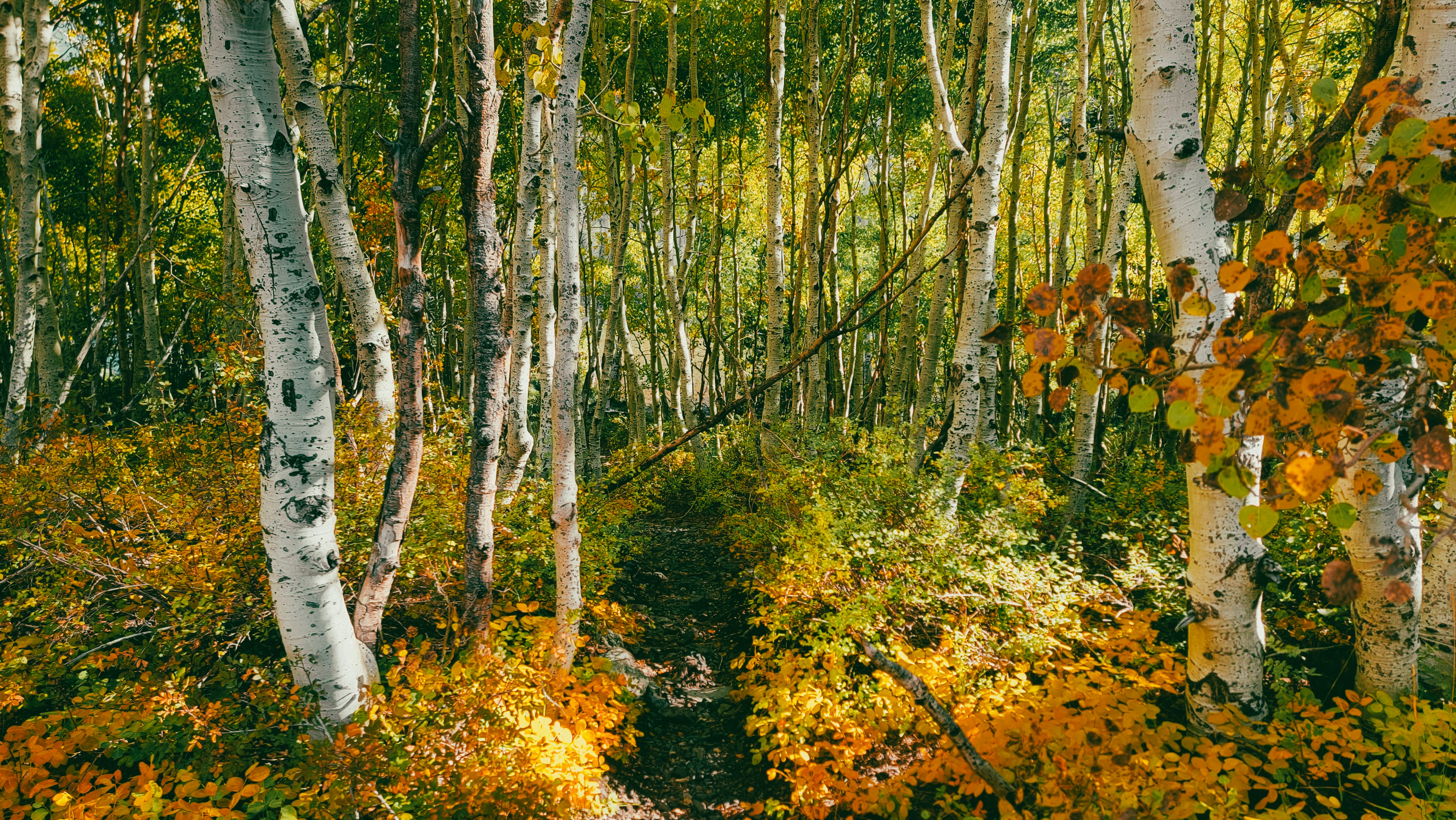 Photo by dudubangbang