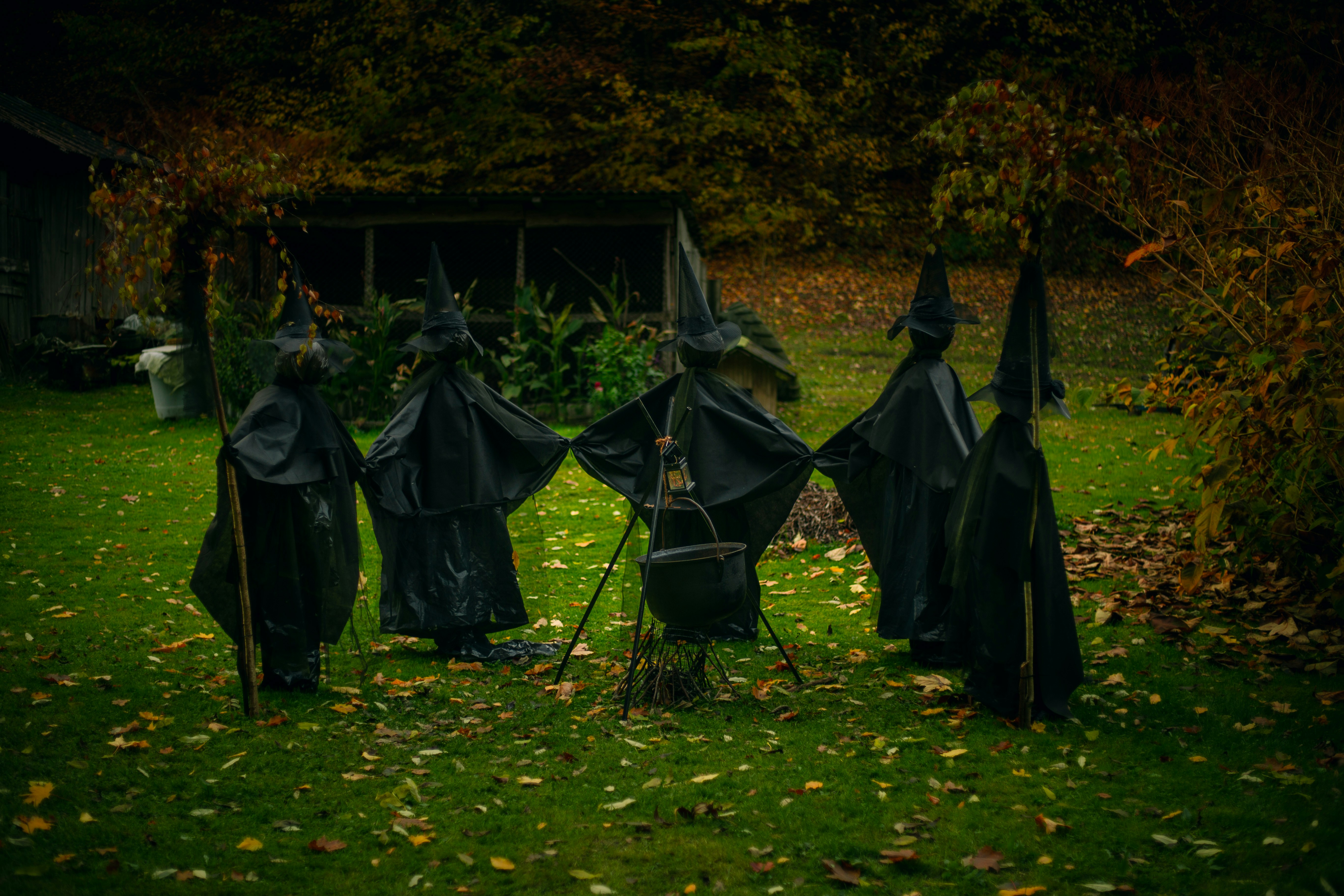 Un gruppo di pipistrelli di plastica nera appesi a un albero