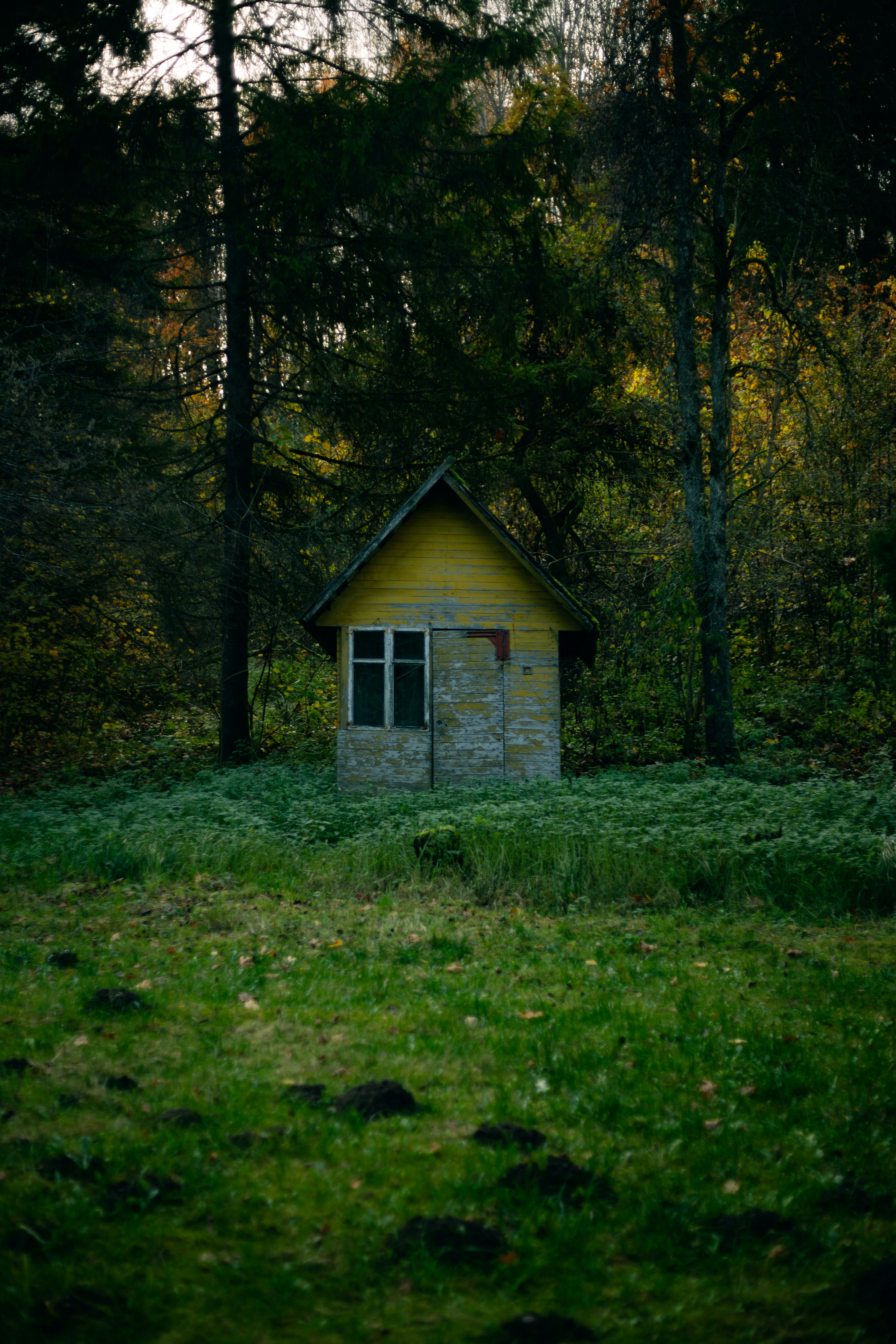 Photo by kaigabriel42