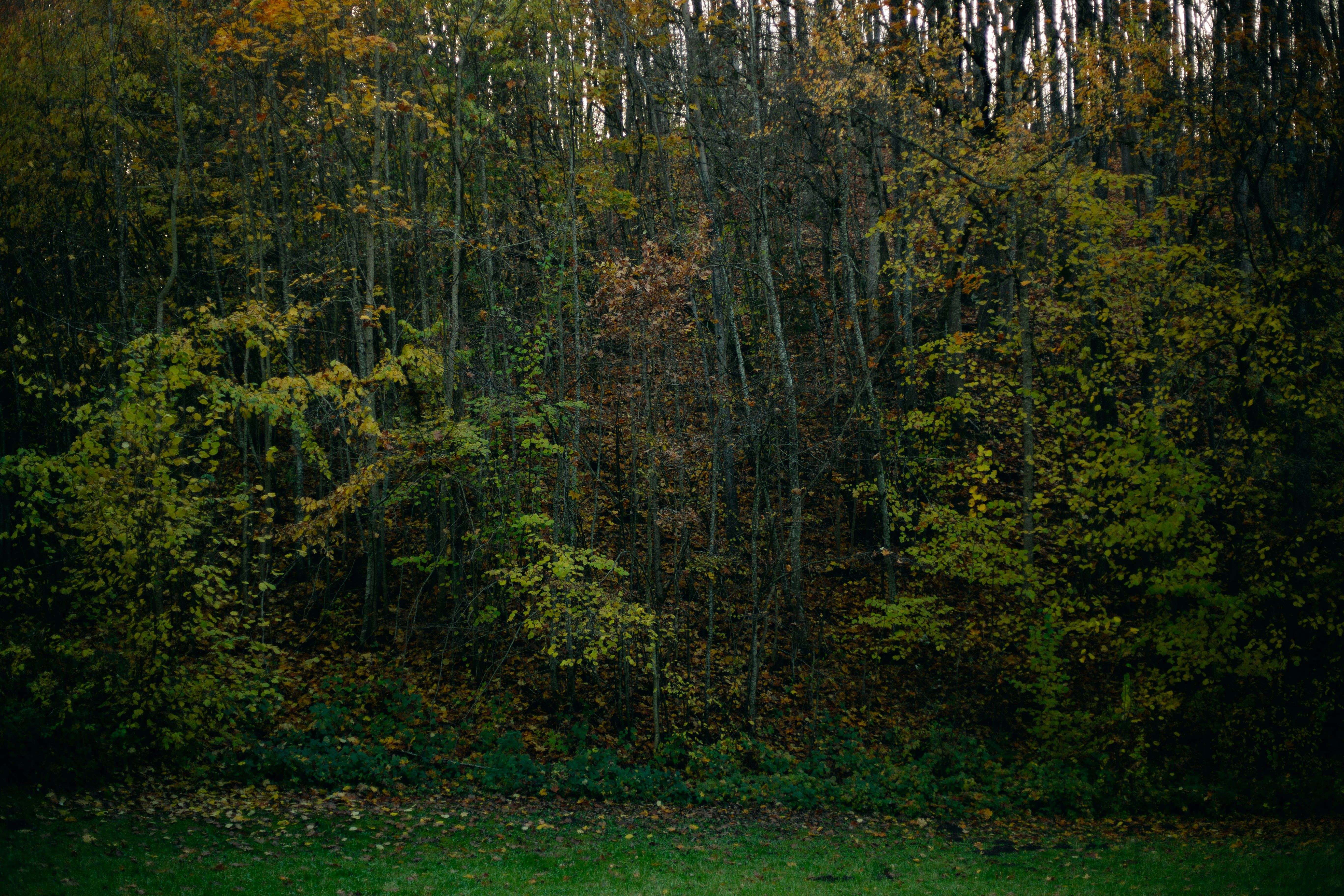 Photo by kaigabriel42