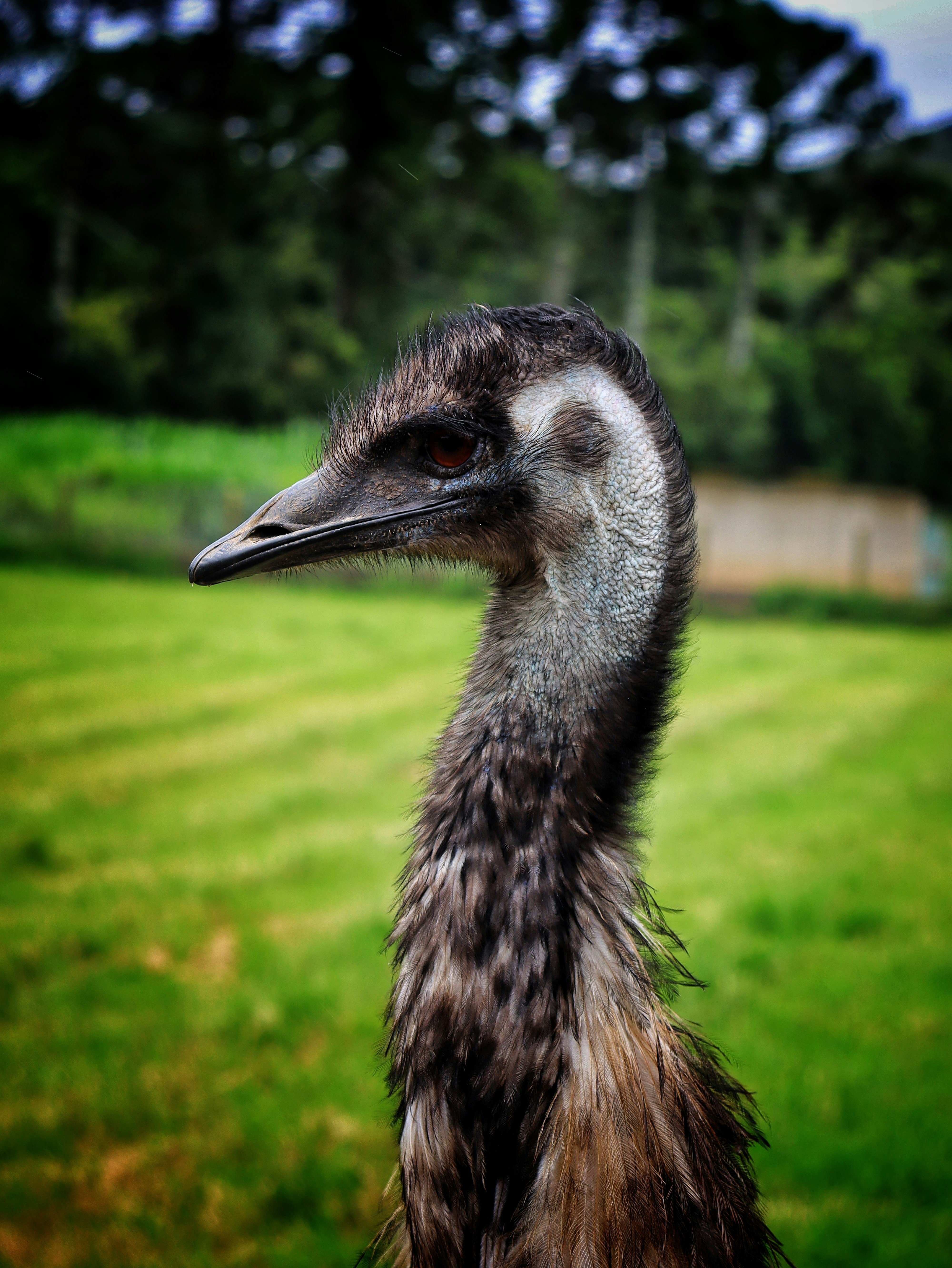 Photo by caio_delarolle