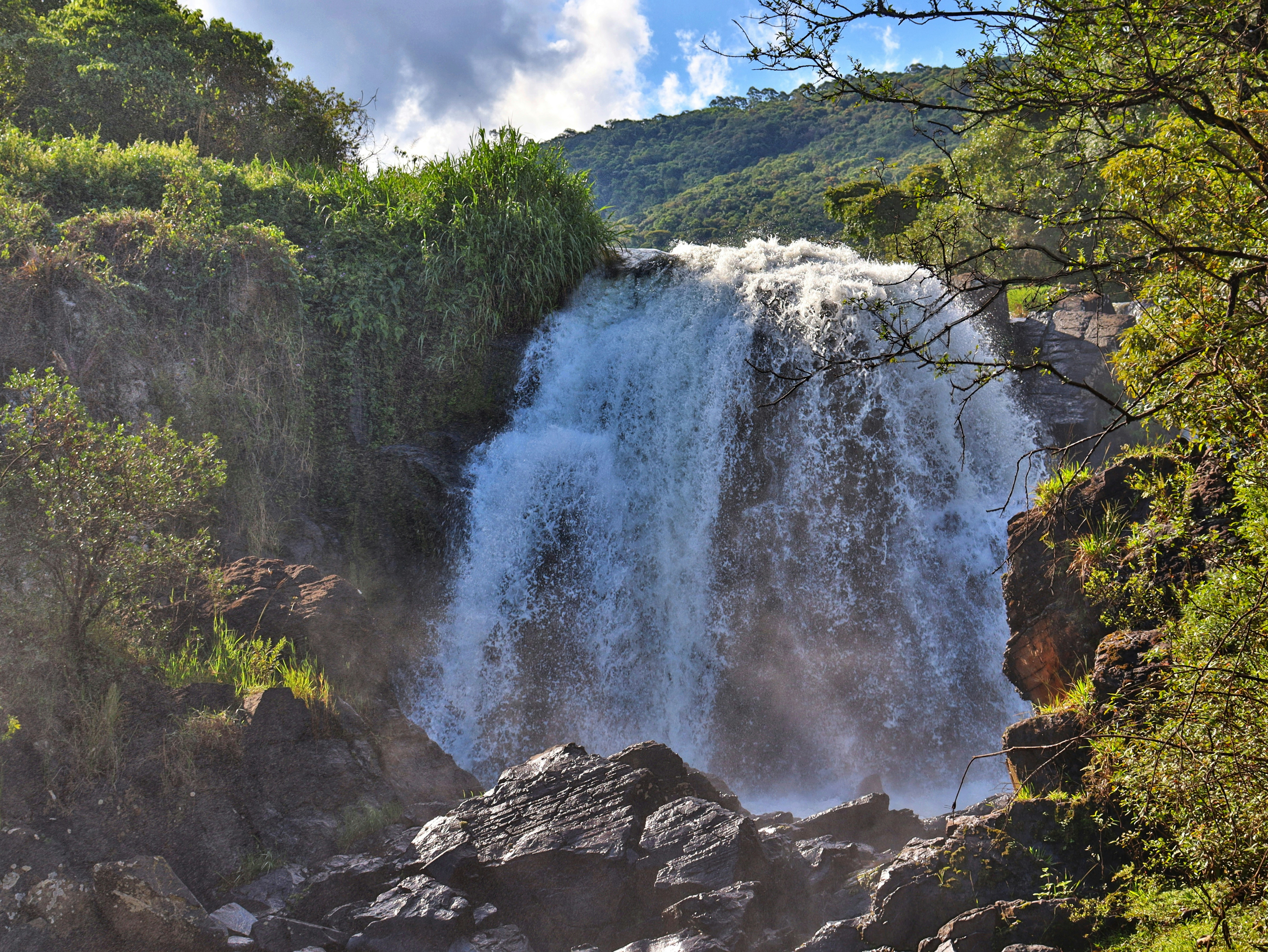 Photo by caio_delarolle