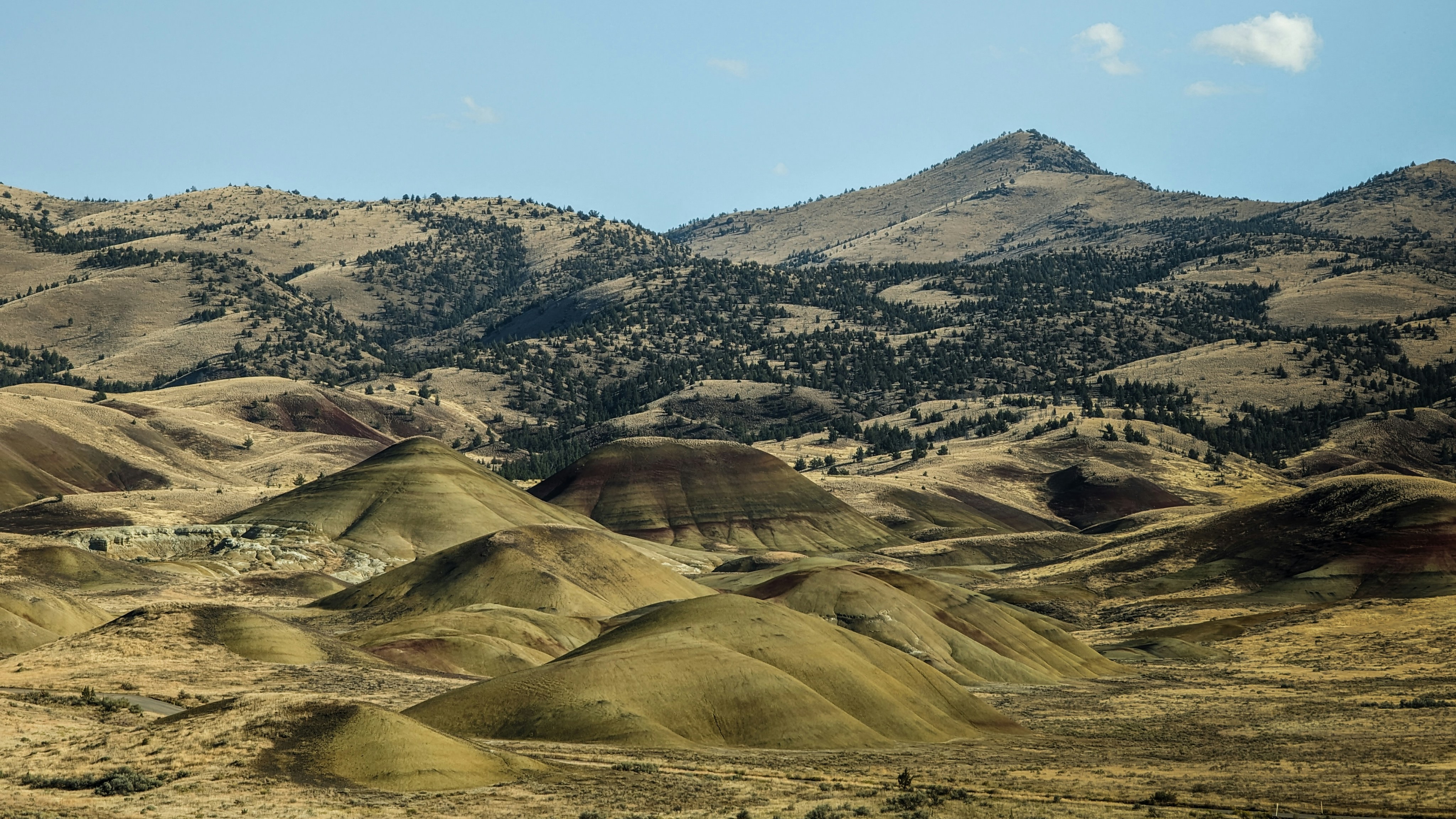 Photo by dudubangbang