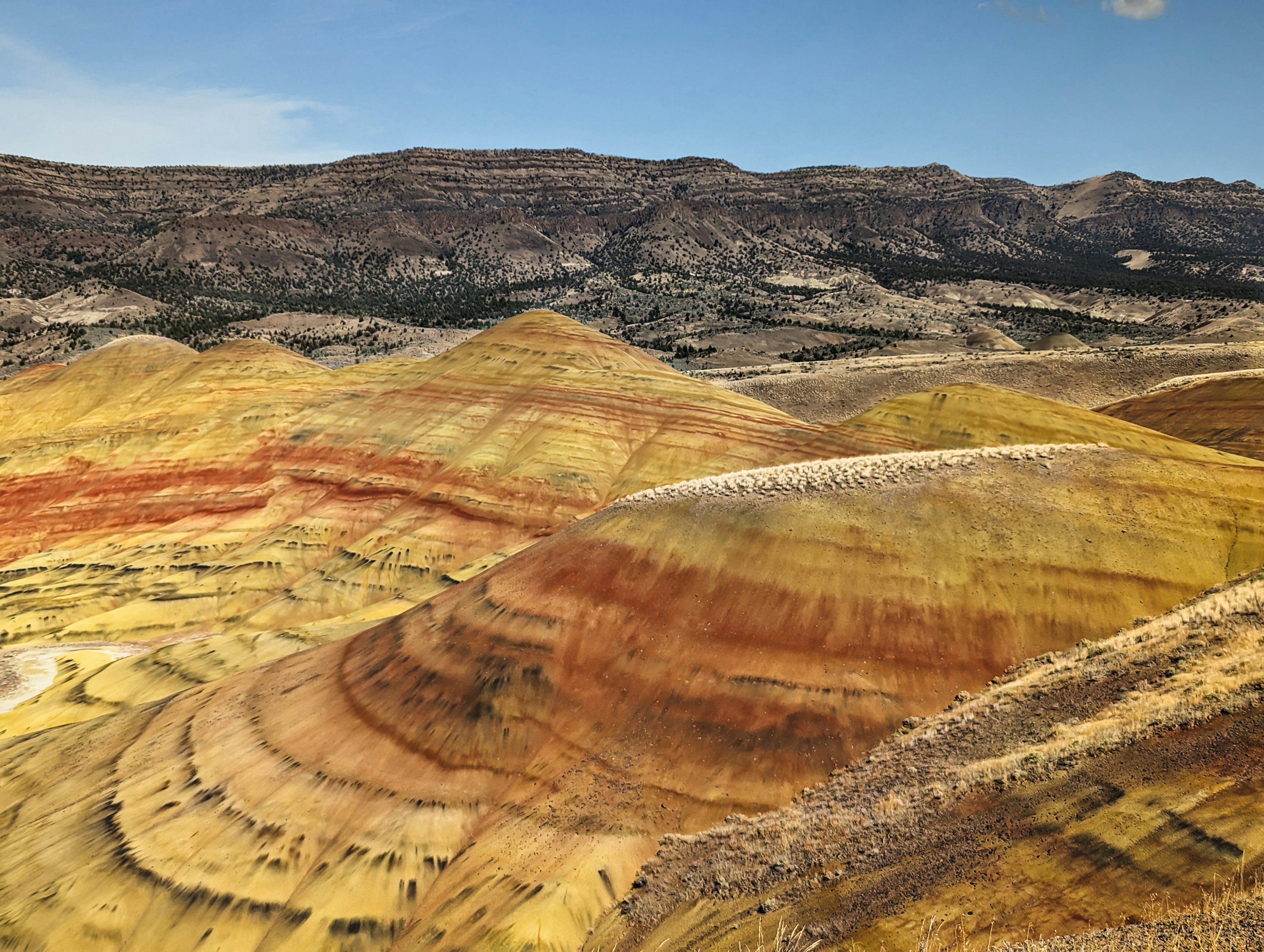 A panoramic view of the painted hills in the badlands
