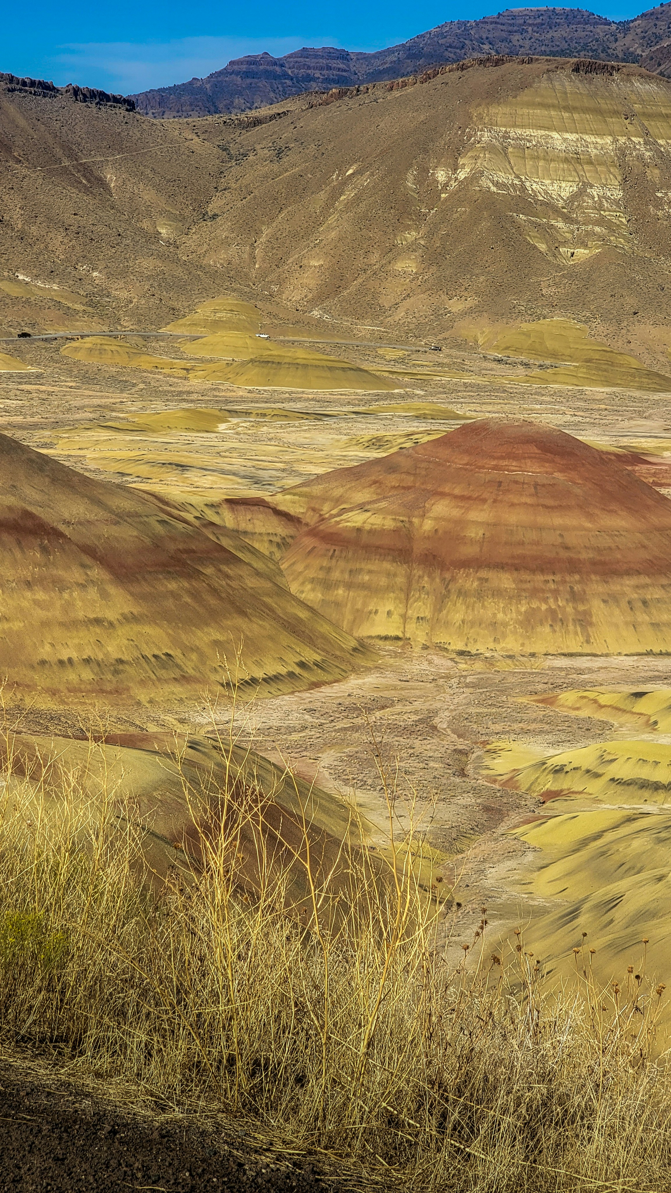 Photo by dudubangbang