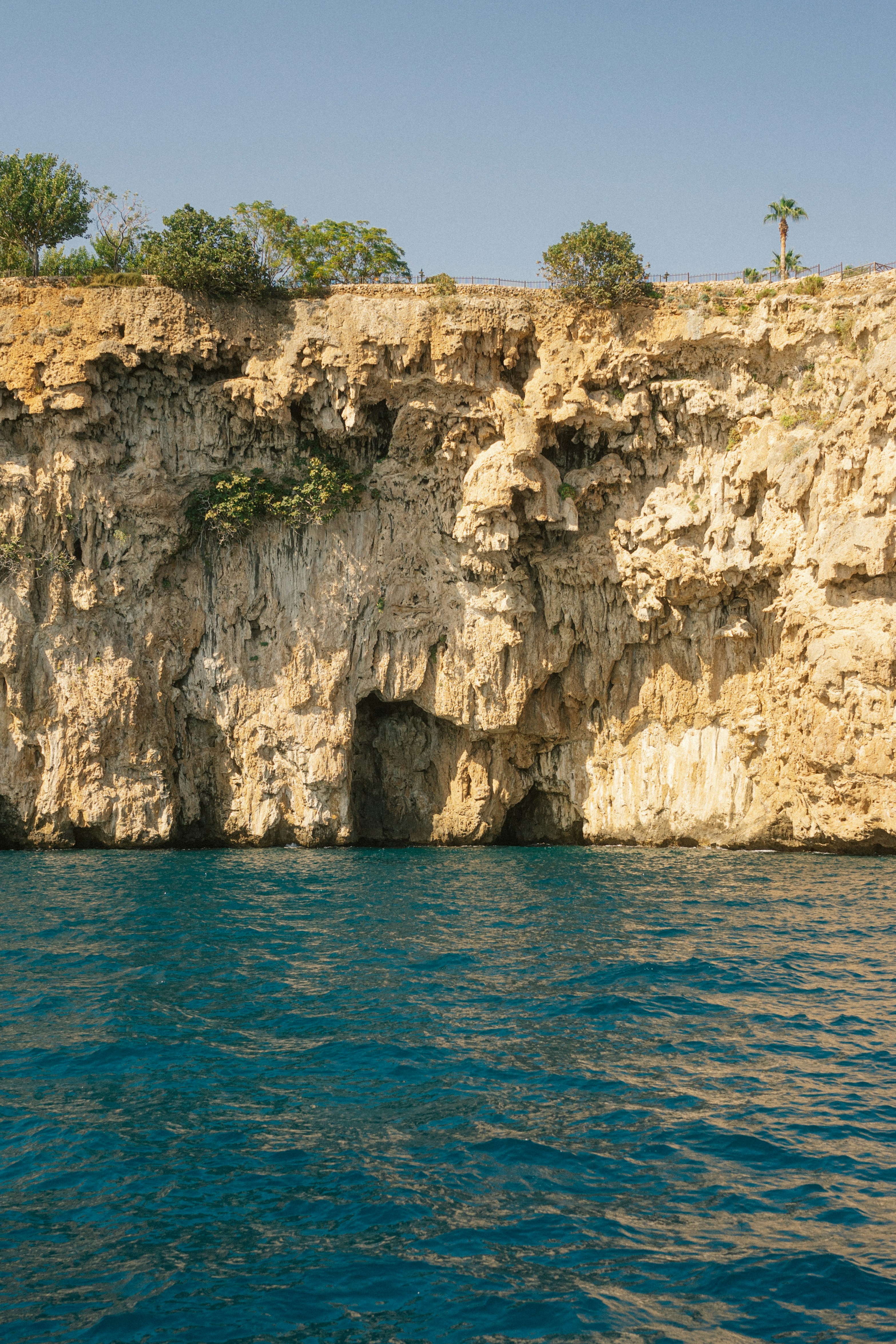 Photo by igorharrier