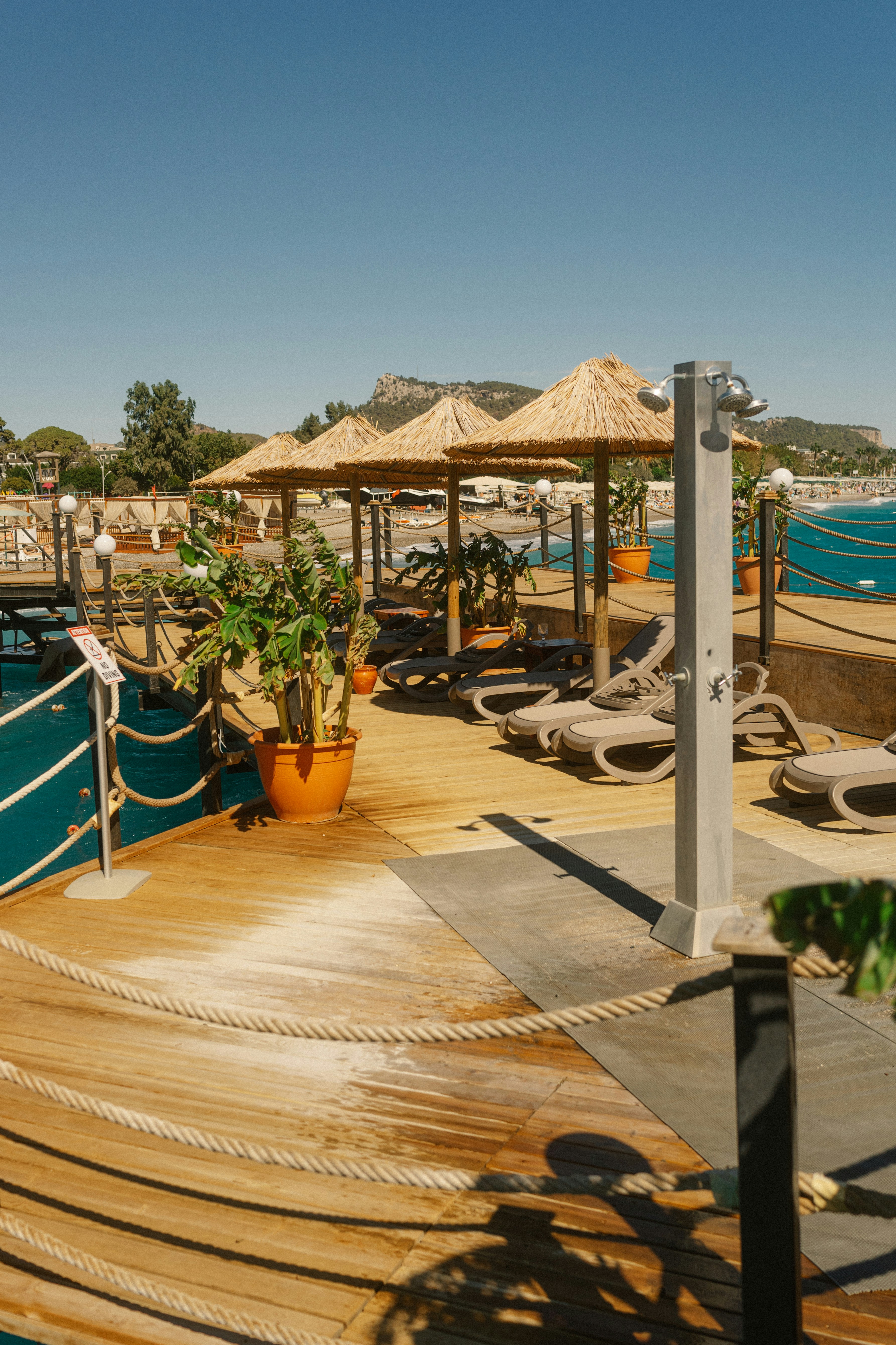 Photo by igorharrier