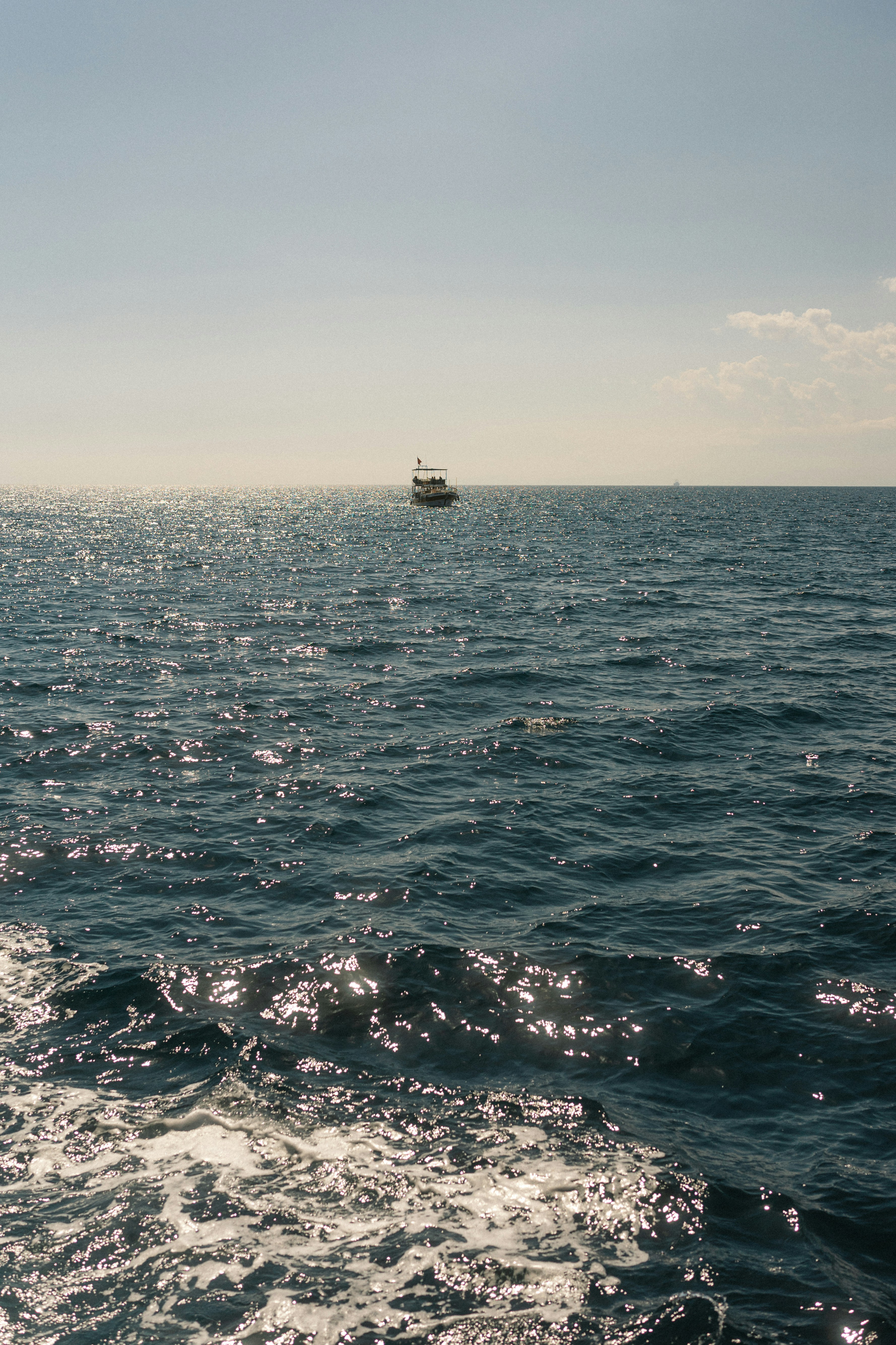 Photo by igorharrier