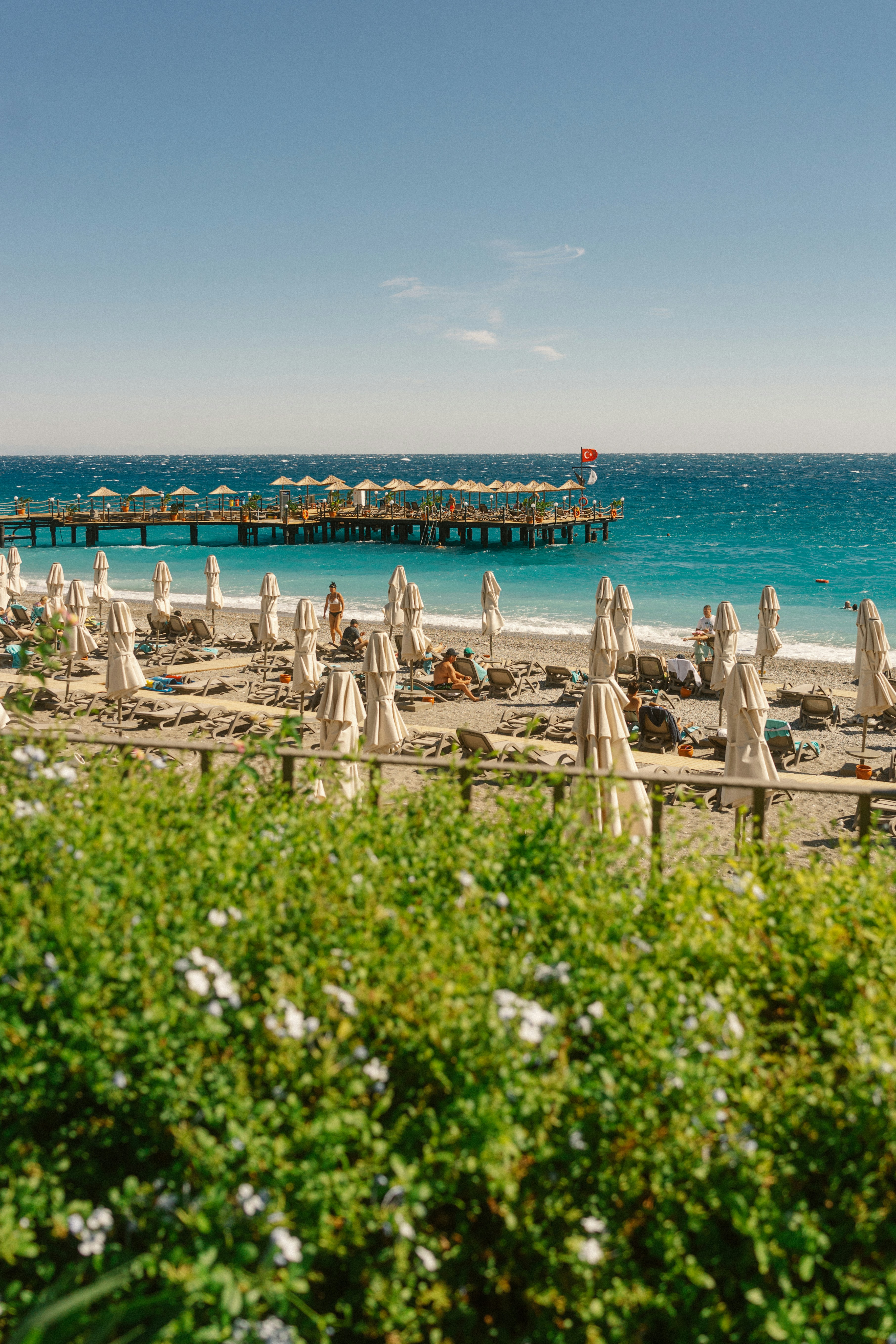 Un mucchio di ombrelloni che si trovano su una spiaggia