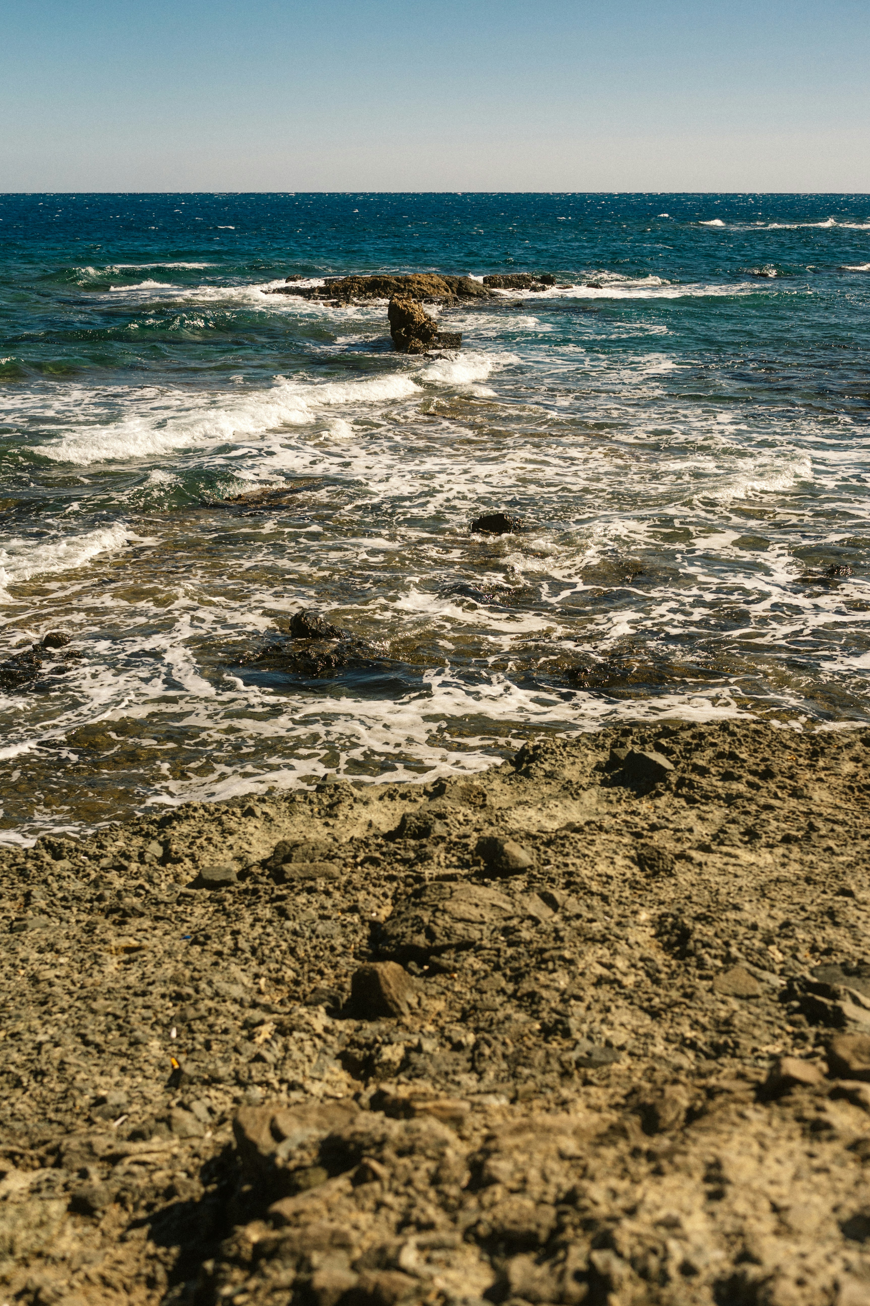 Photo by igorharrier