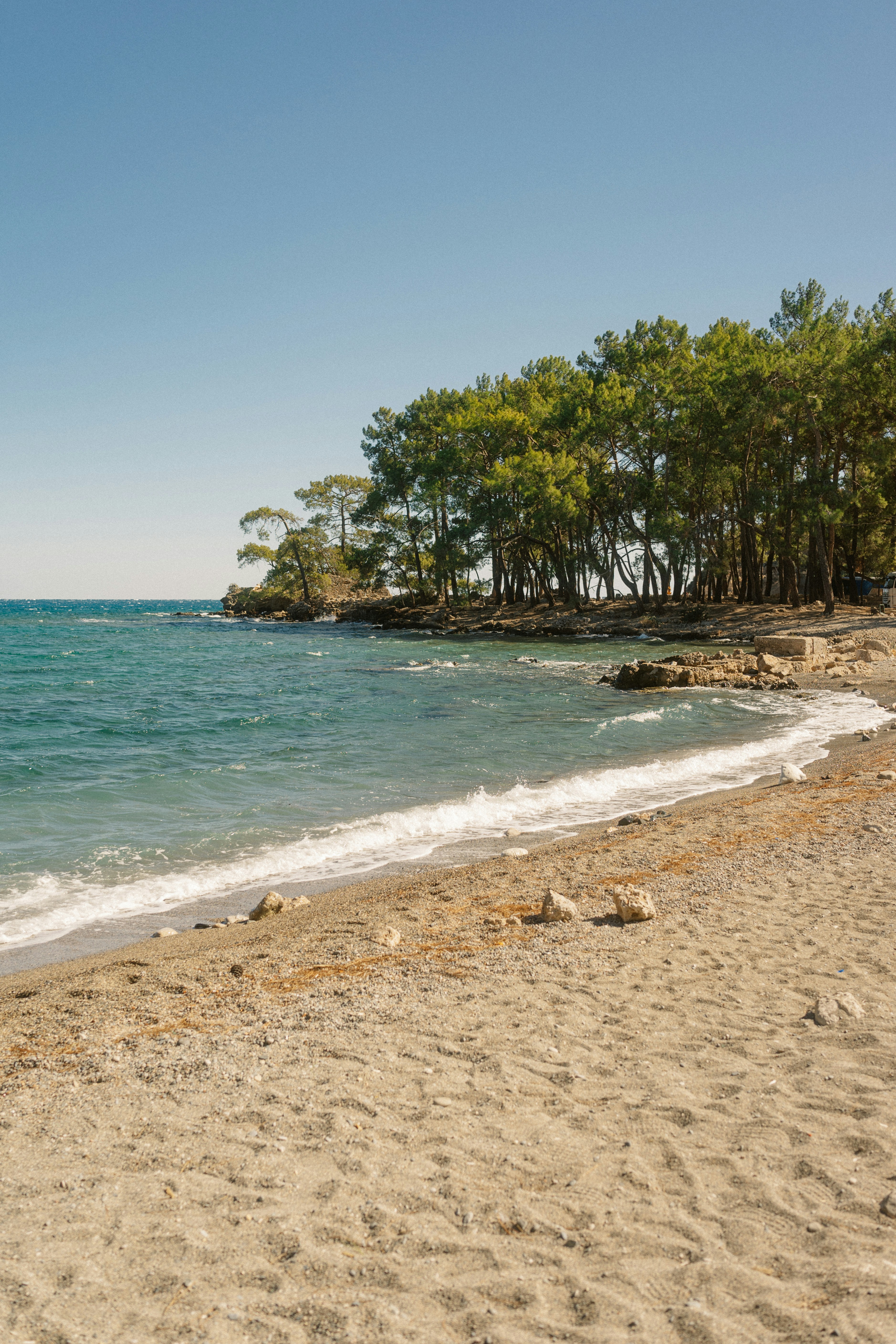 Photo by igorharrier