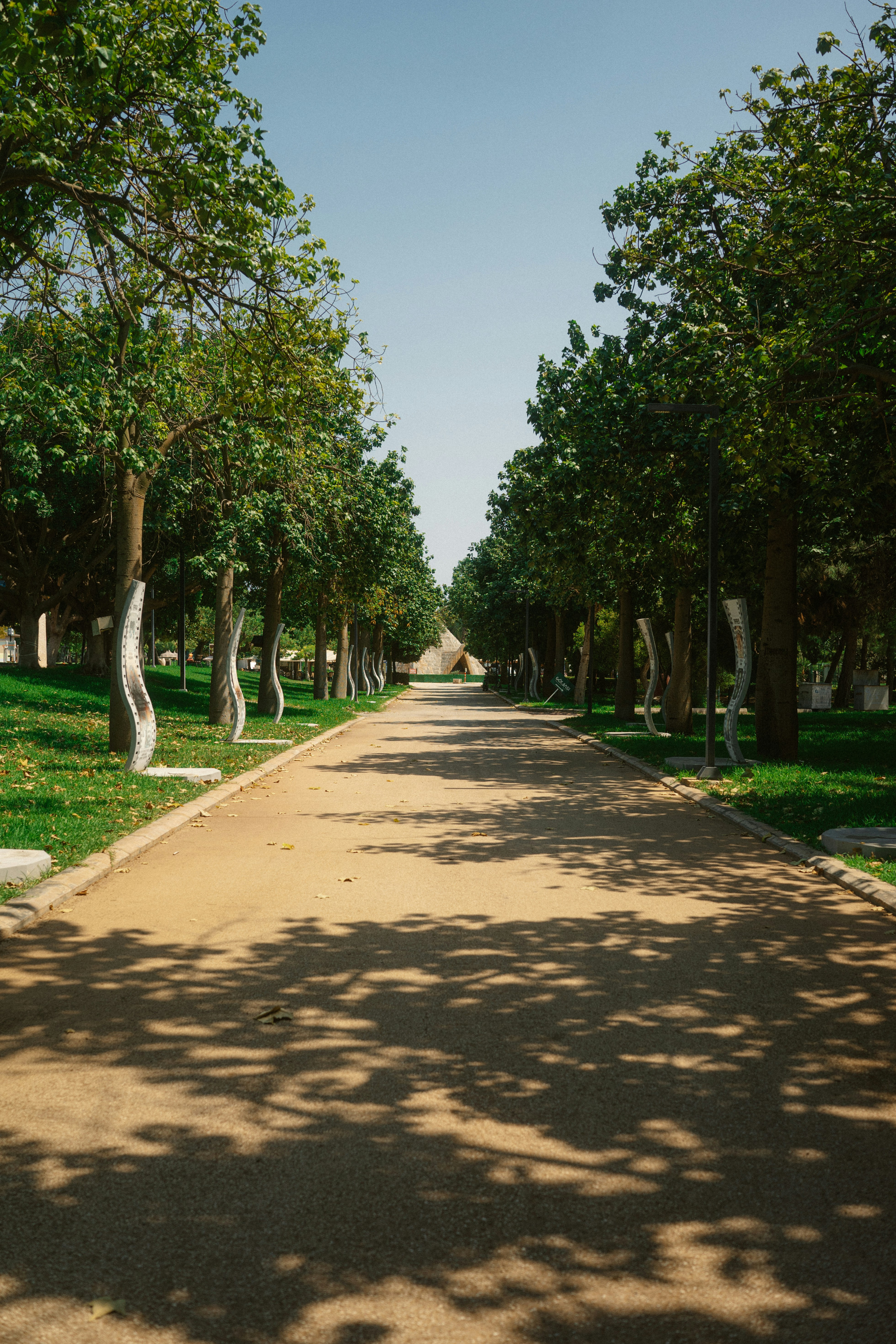 Photo by igorharrier