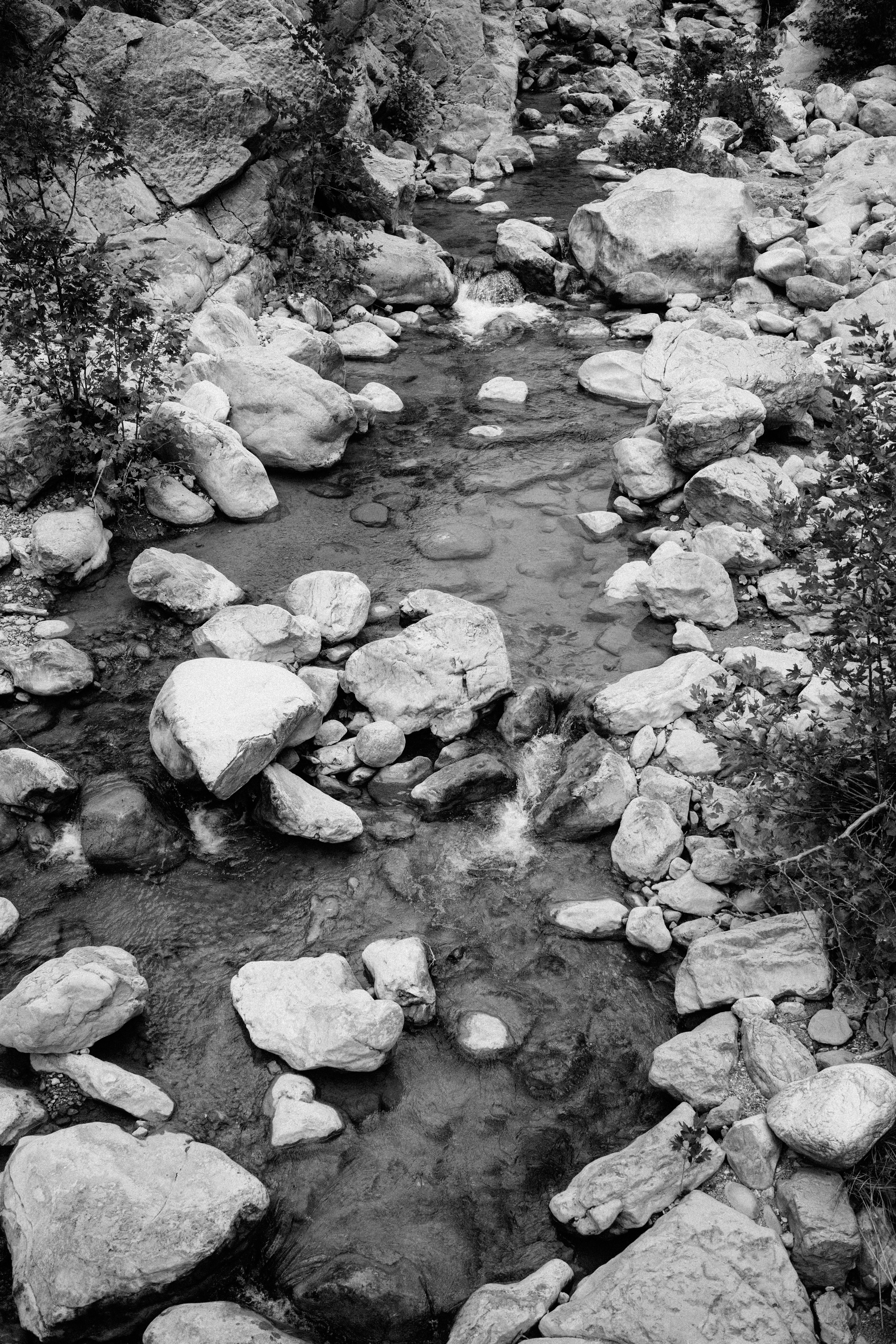 Photo by igorharrier