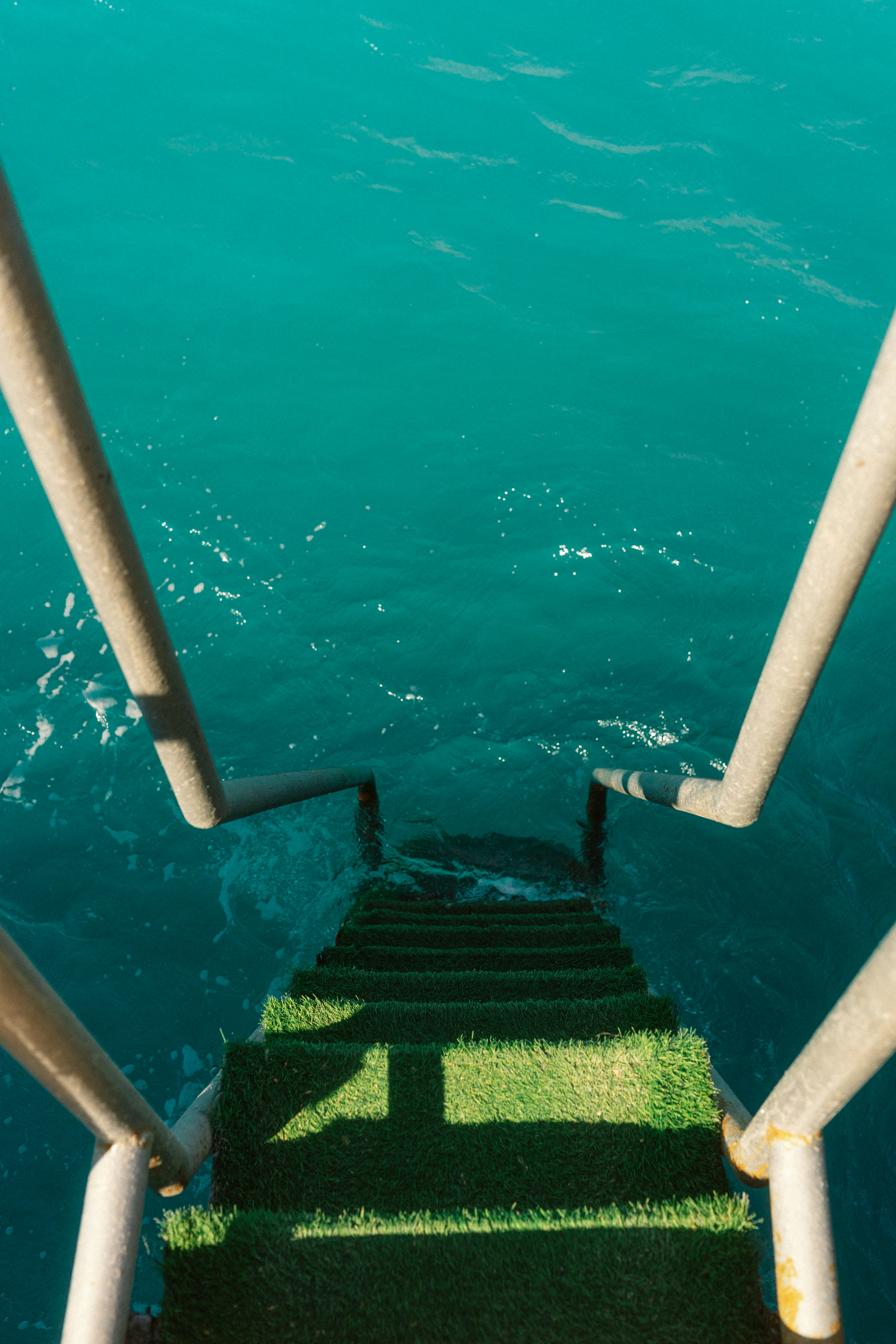 black and white bed linen