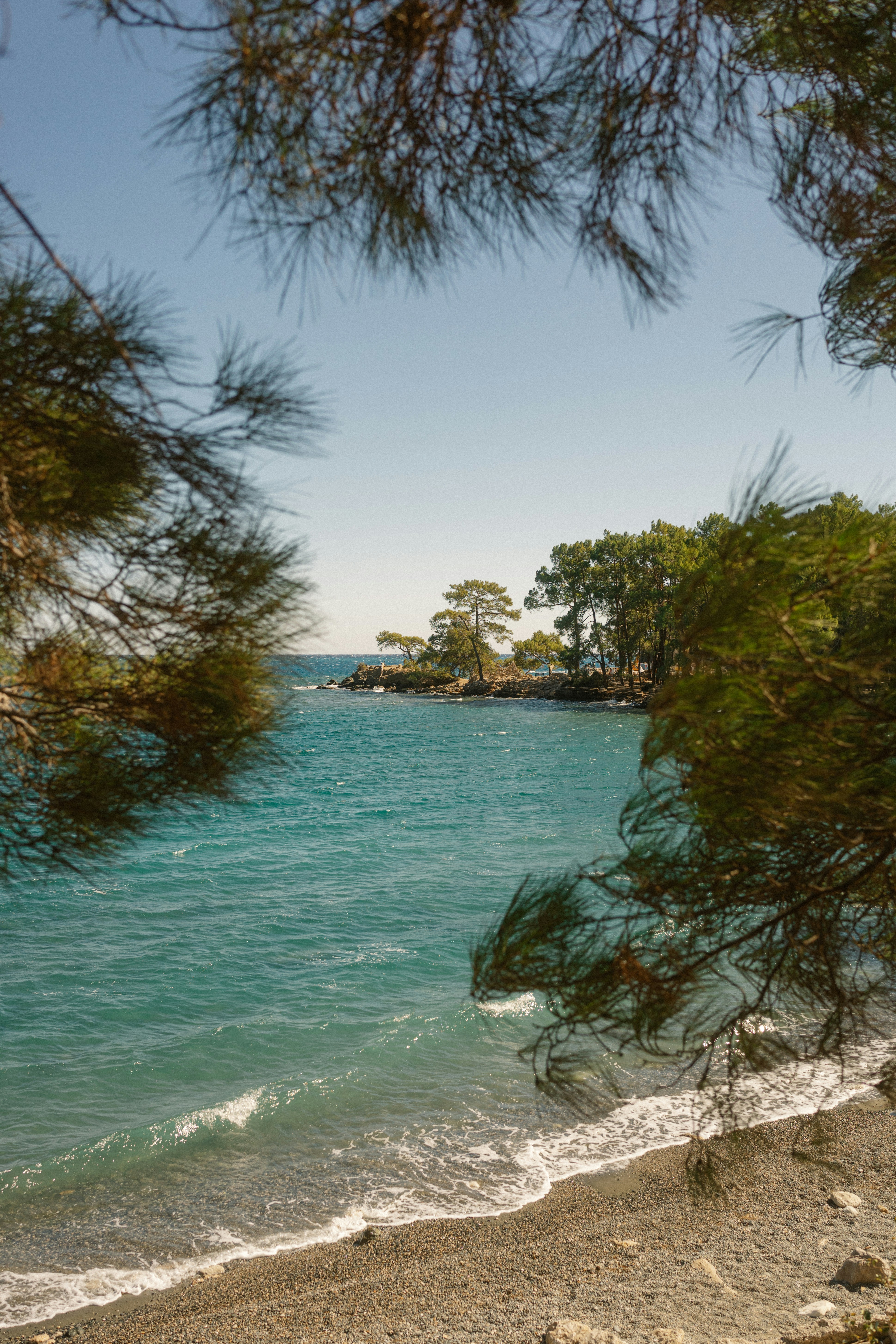 Photo by igorharrier